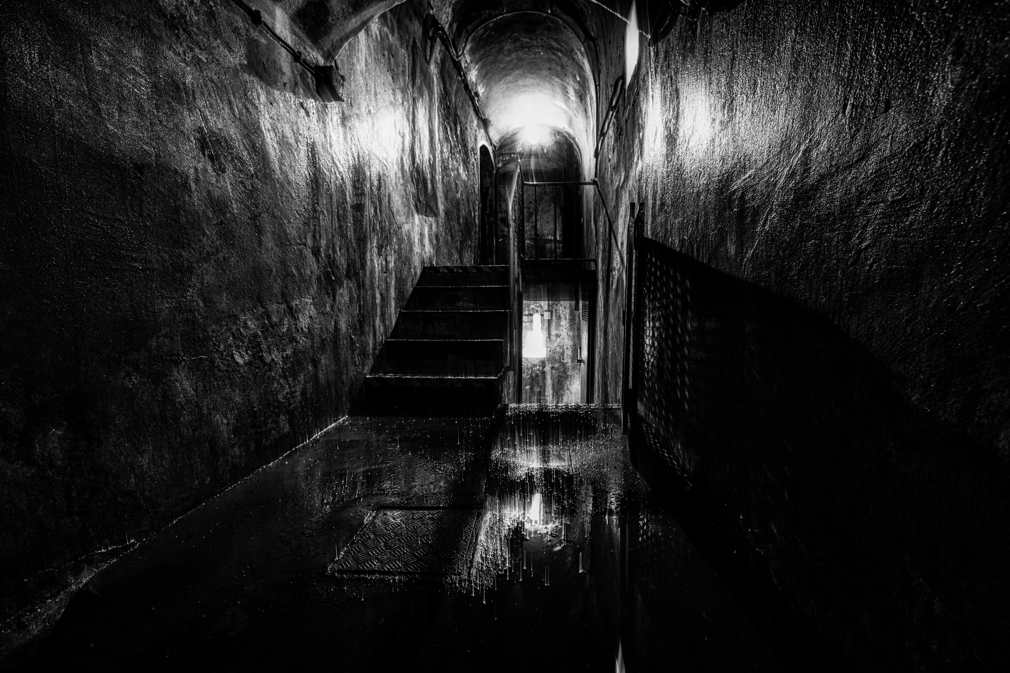 The Third Man 3