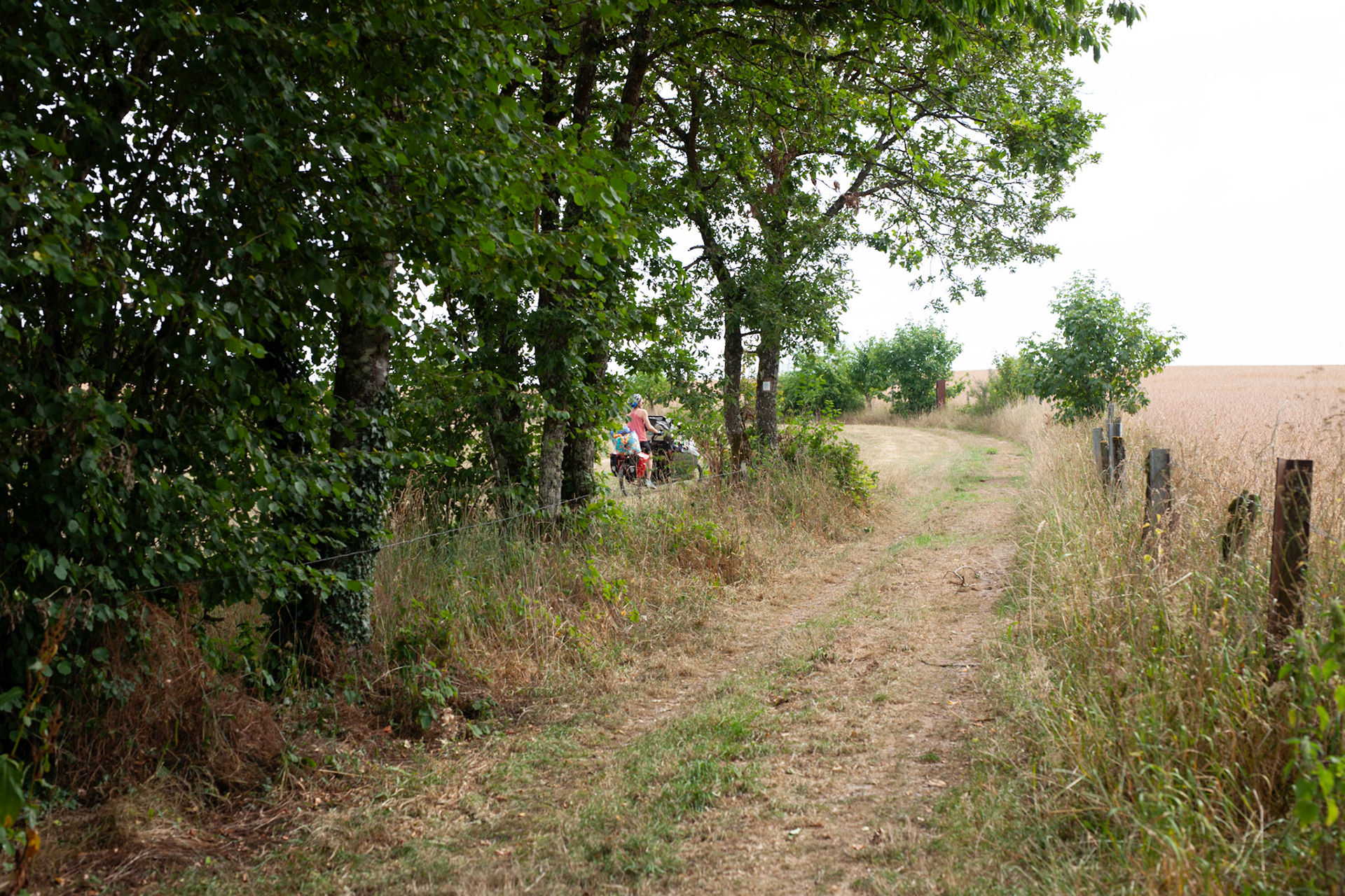 on attérit dans un sentier forestier à force de suivre le GPS à la lettre