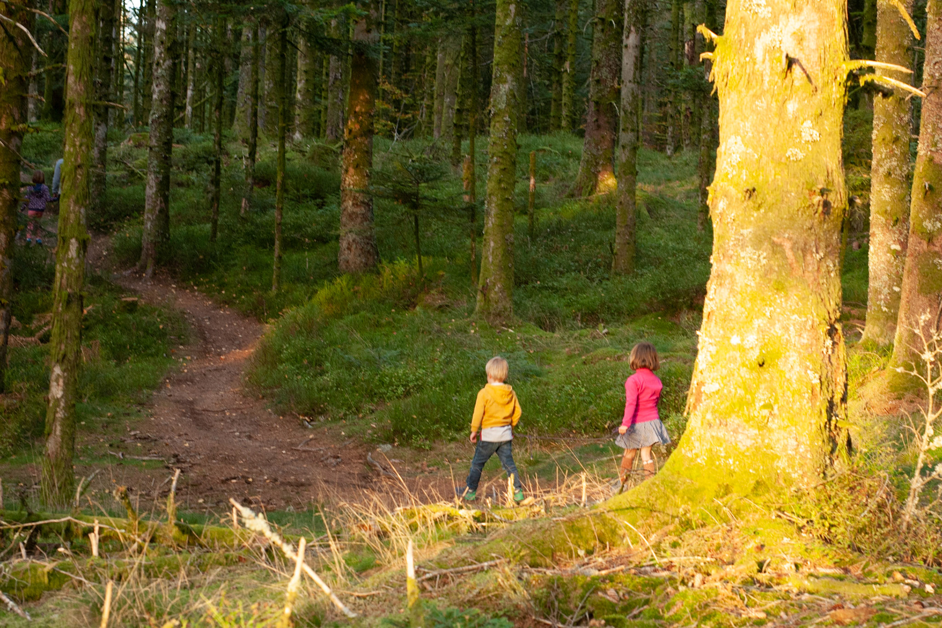 Petit tour autour du chalet pour éliminer la raclette. 