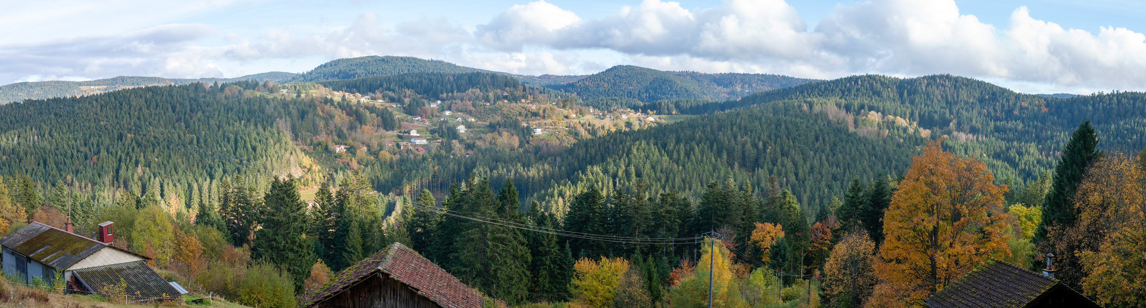 On voit sur ce superbe panorama les feuilles d automne se melanger aux sapins
