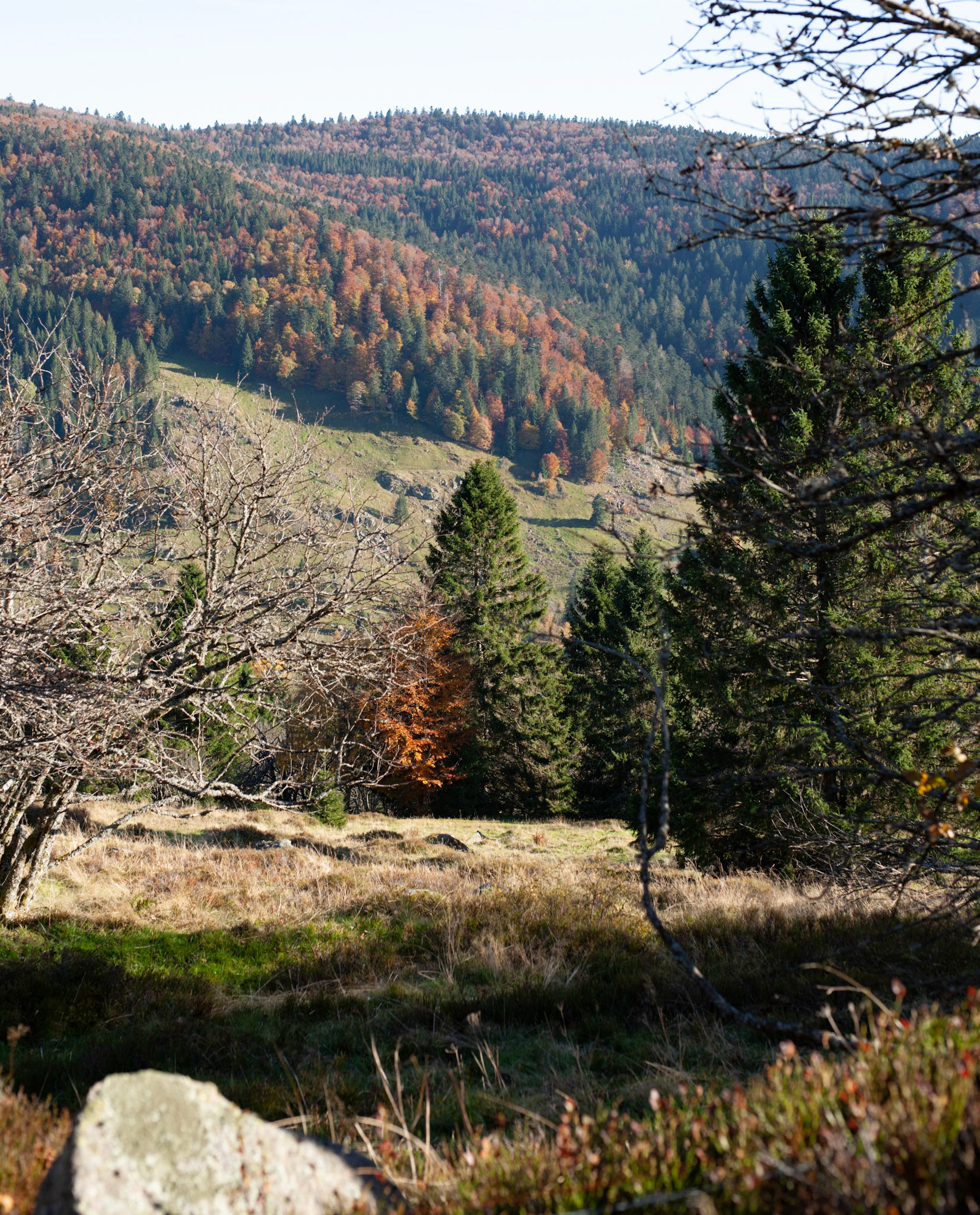 La promenade le long de cette crete, avec du soleil et en automne, est magnifique