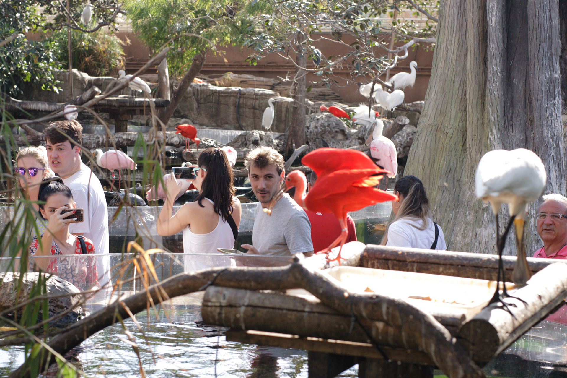 Visite du musée Océanographique avec la famille André et JB.