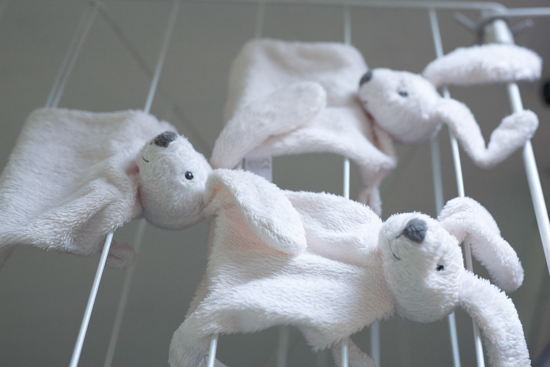 Les 3 doudous de Zélie