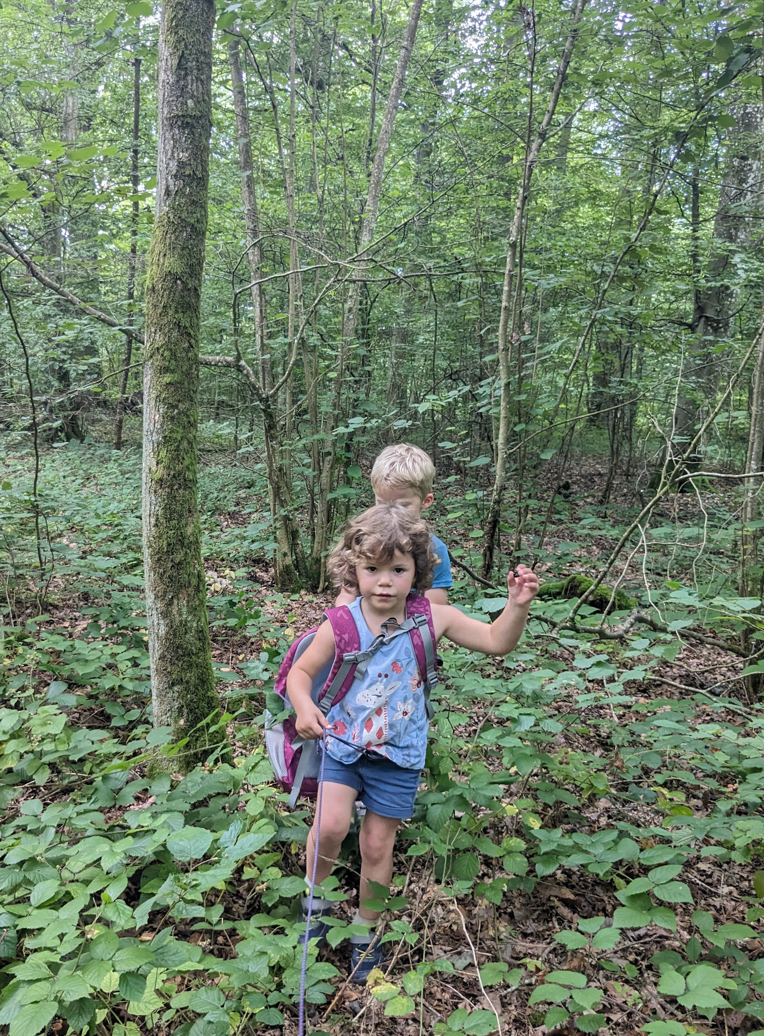 aventure en pleine forêt, tous les trois encordés