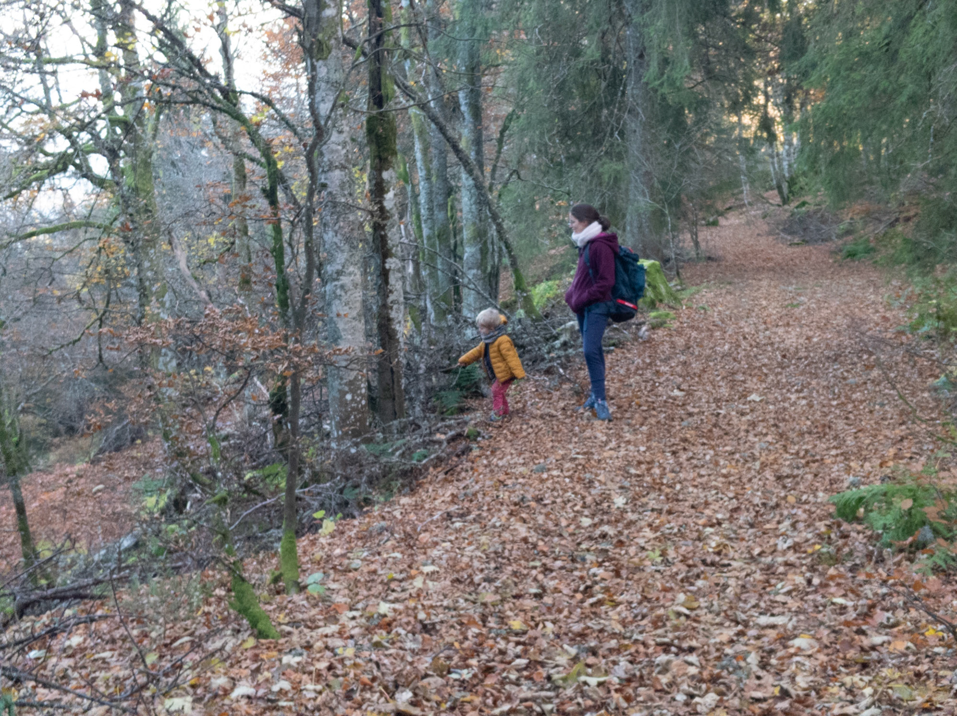 Il est tard et Gaby doit faire preuve d imagination pour motiver Augustin. Ici, le baton chatouille