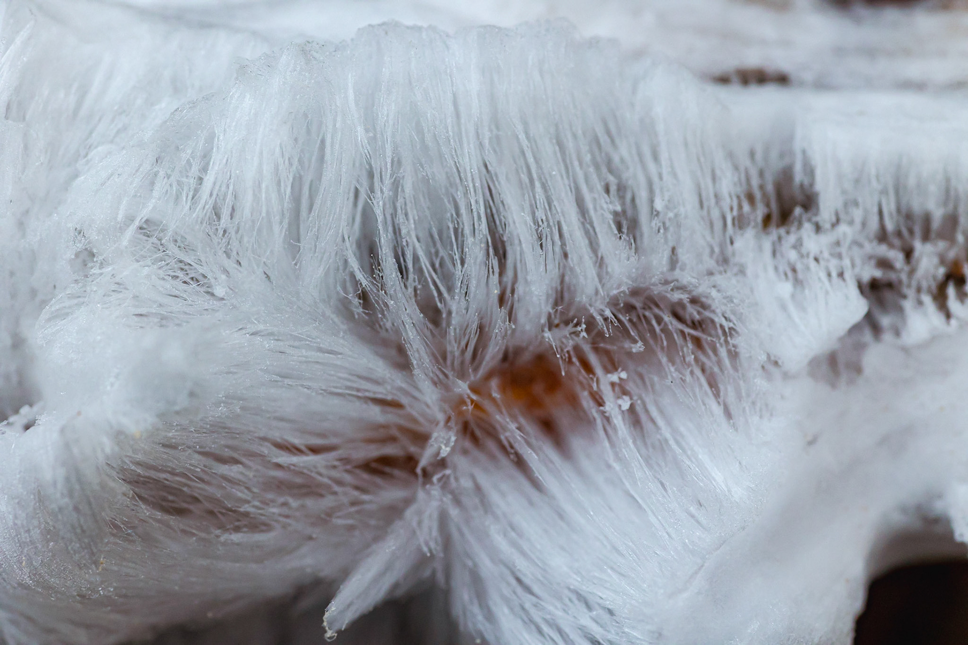 Hair Ice Convergence