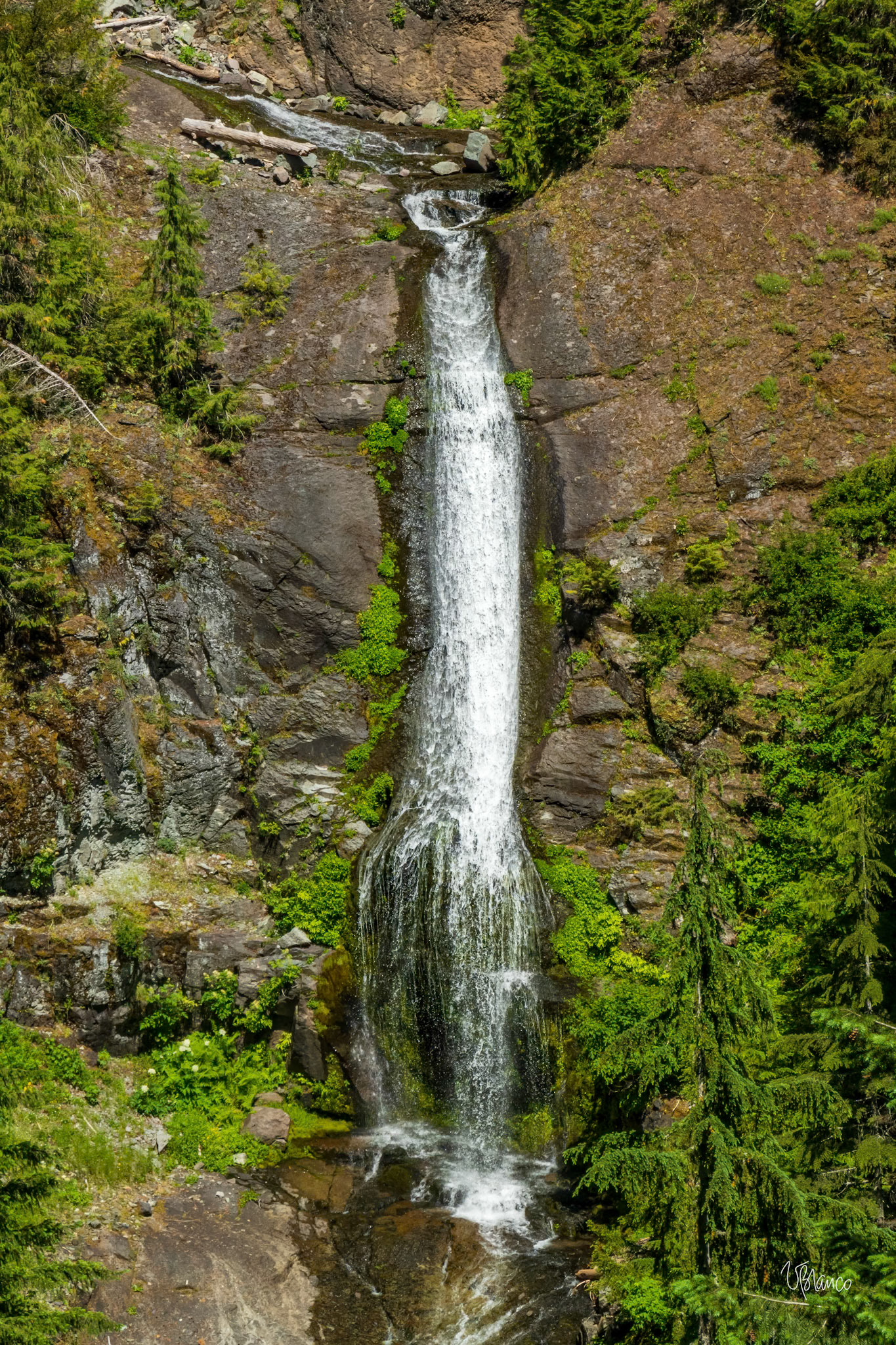 Trapper Creek Wilderness waterfall