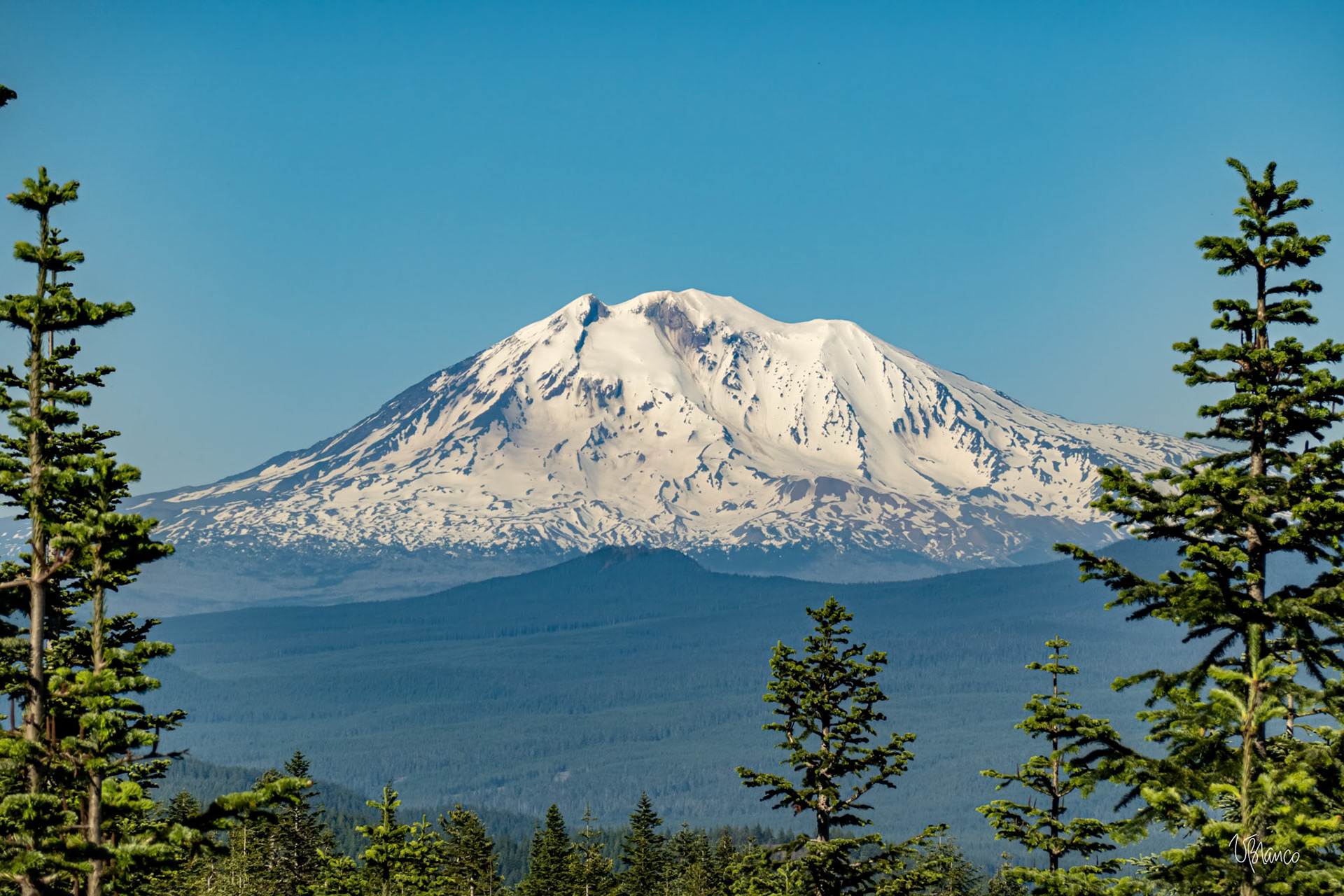 Klickitat (Mt Adams) from Observation Peak