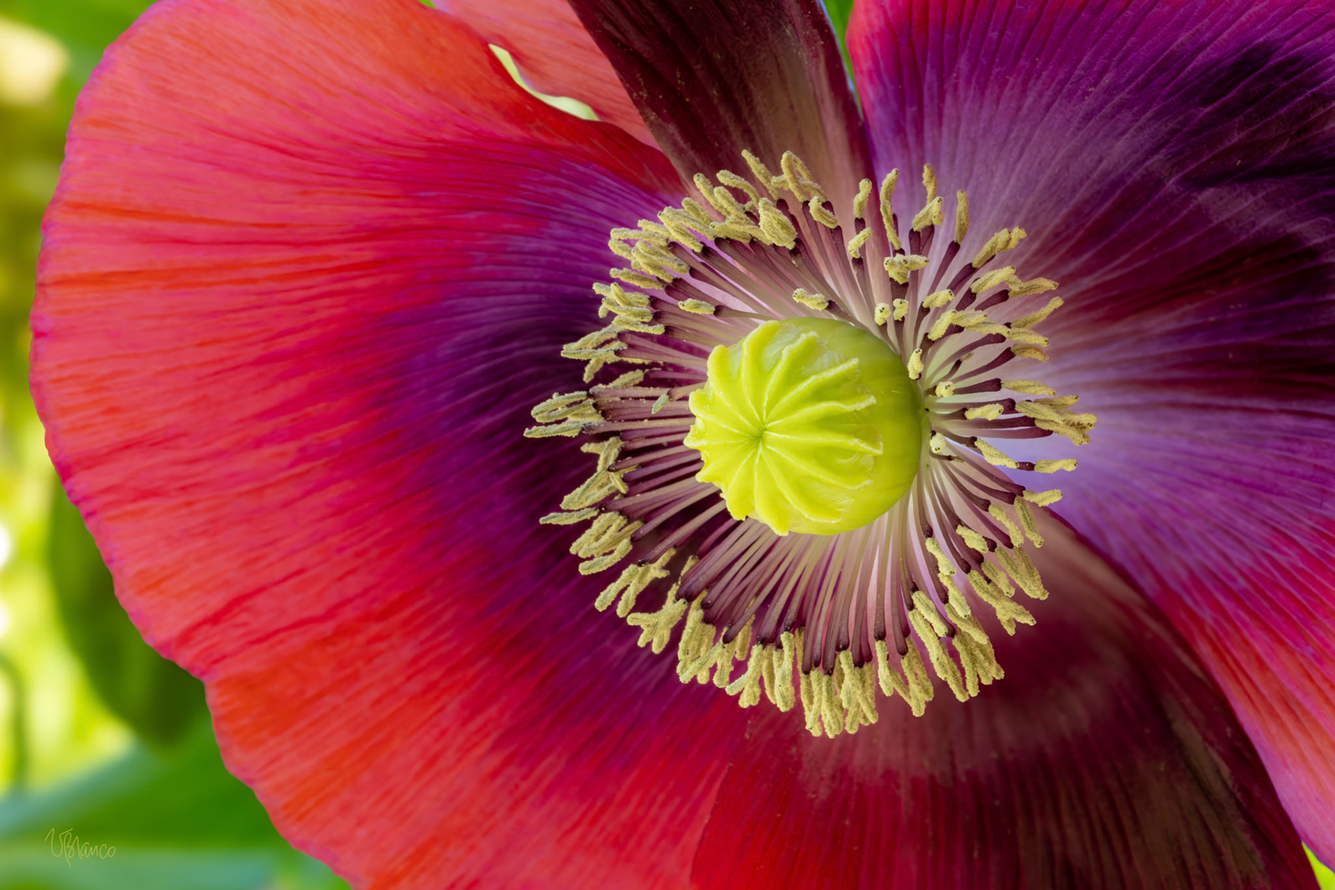 Tuning In to Joy