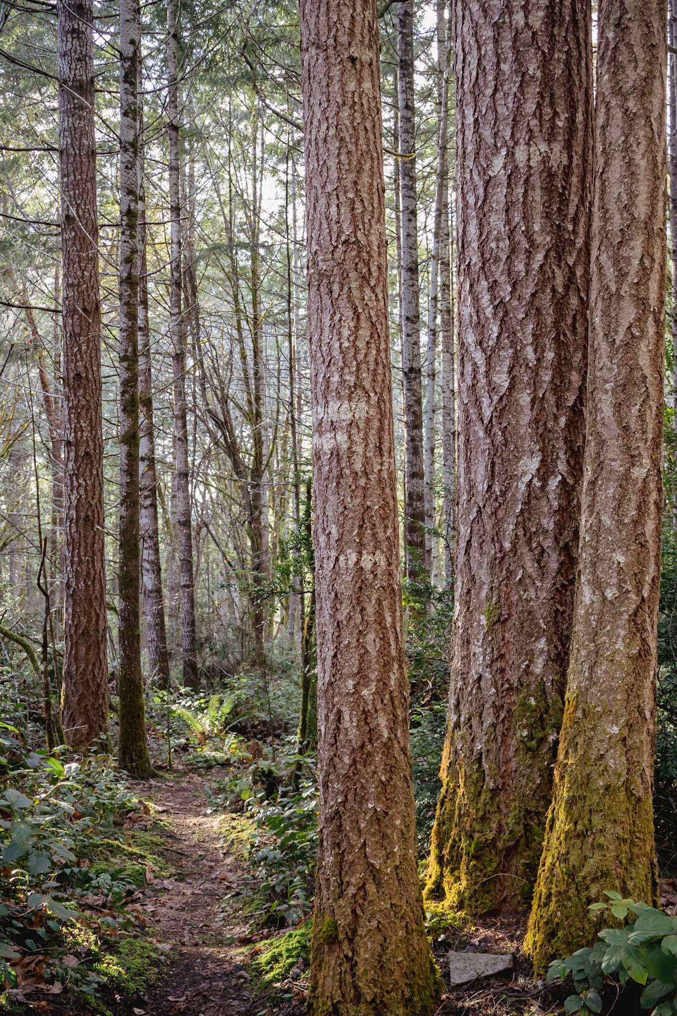 Walking the trails