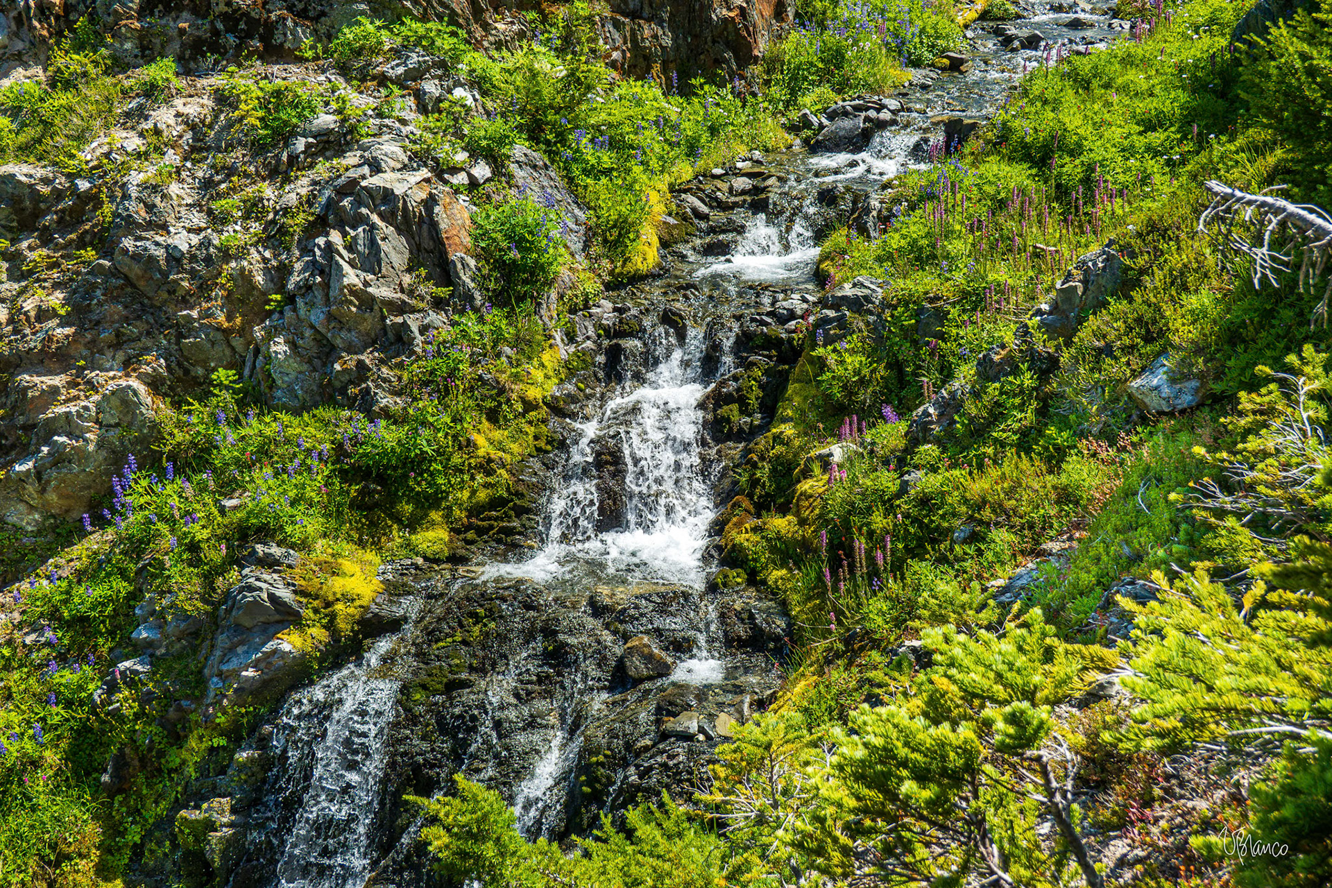 Upper Gray Wolf Waterfall