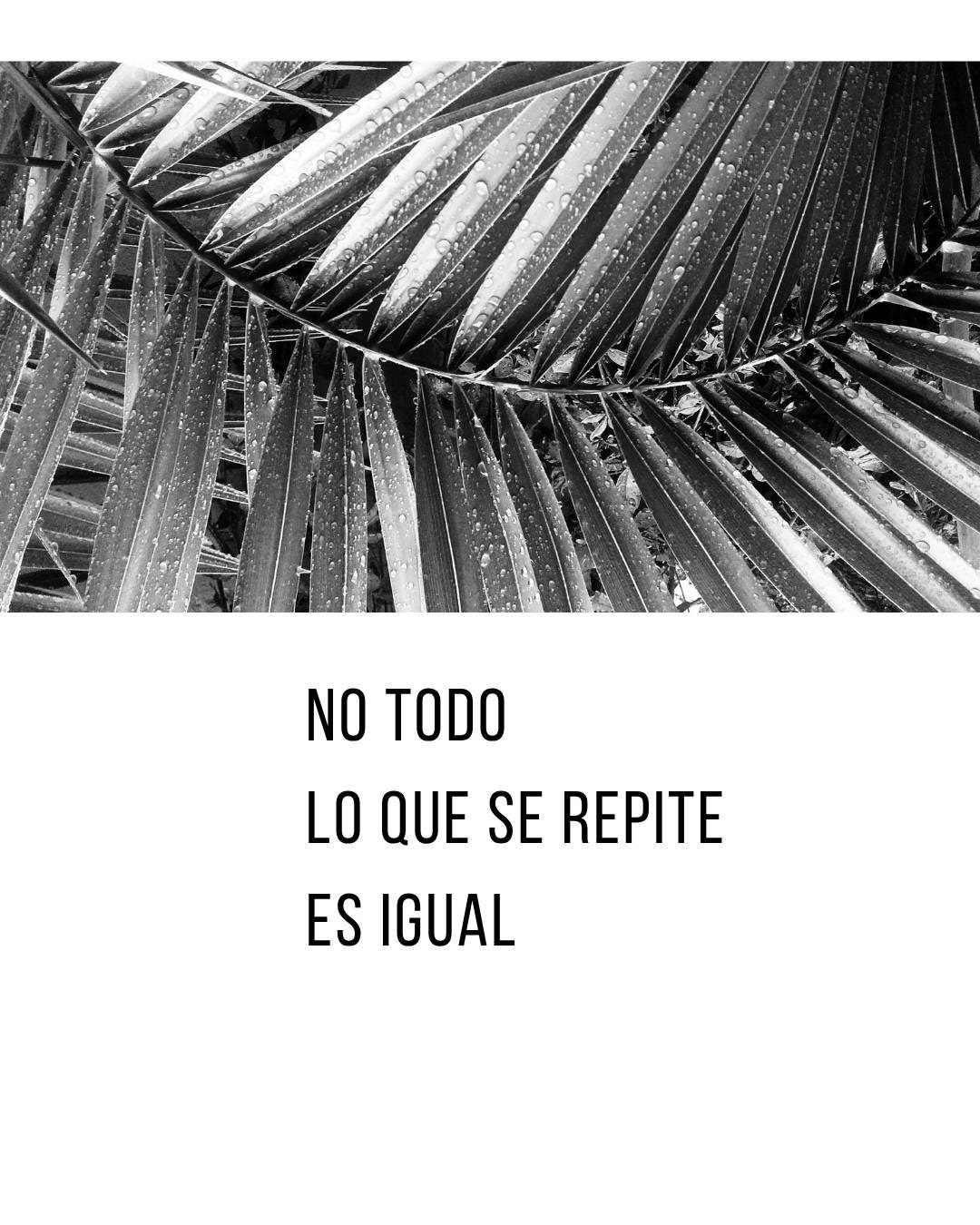 Fotografía artística contemporánea en blanco y negro sobre observación, materia y proceso. Serie autoral de Analia Das Vinhas