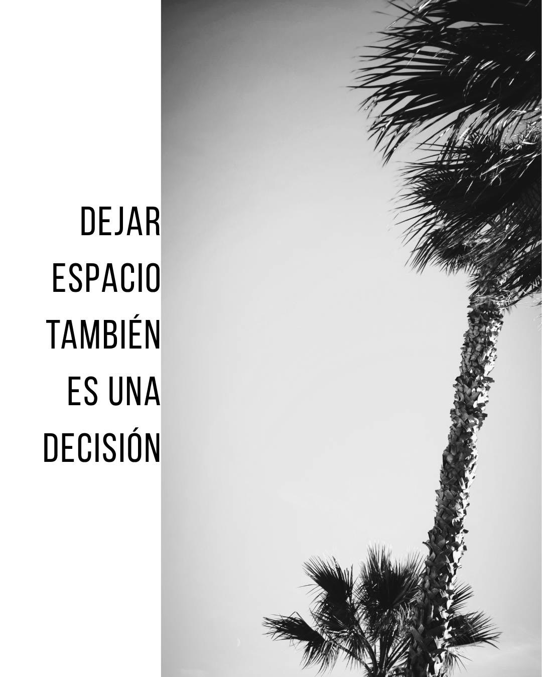 DECISIÓN 01