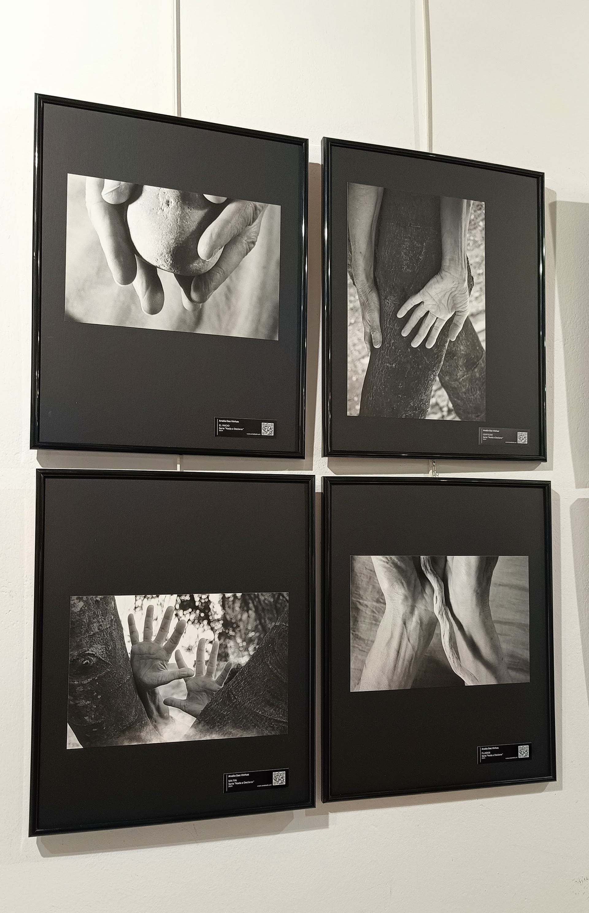 Serie de Fotografías en Exposición