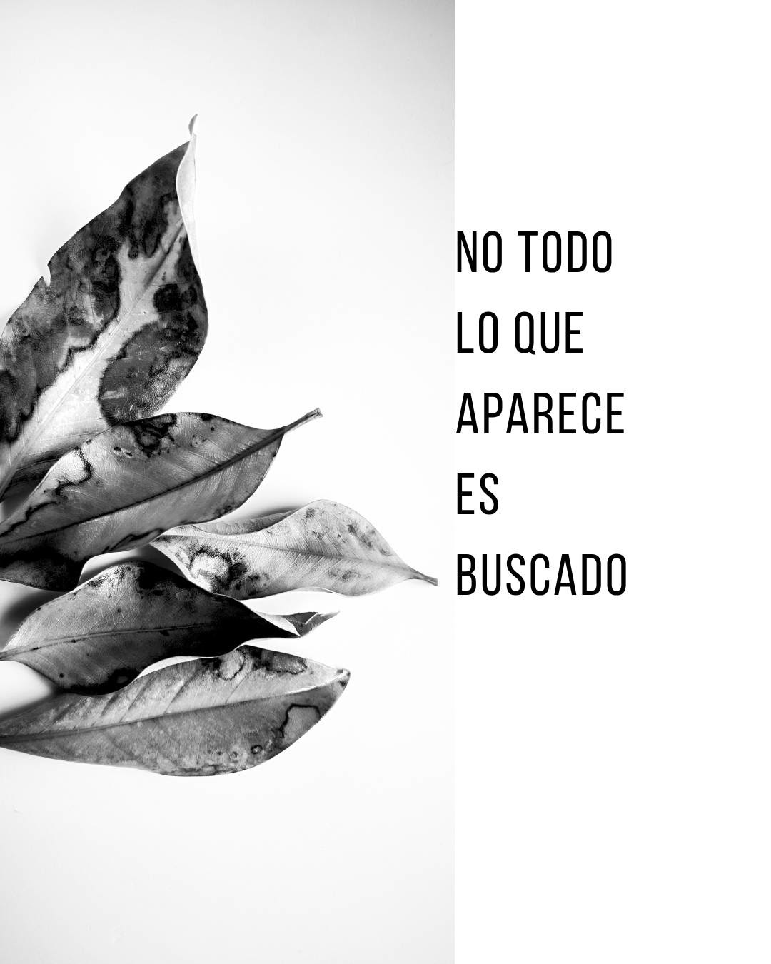 DECISIÓN 03