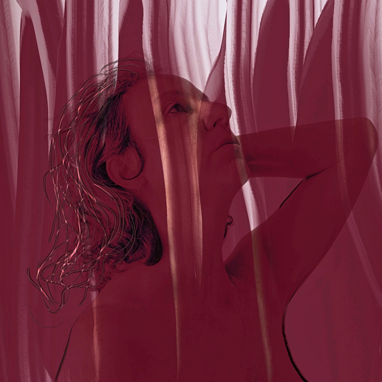 Analia Das Vinhas Photography