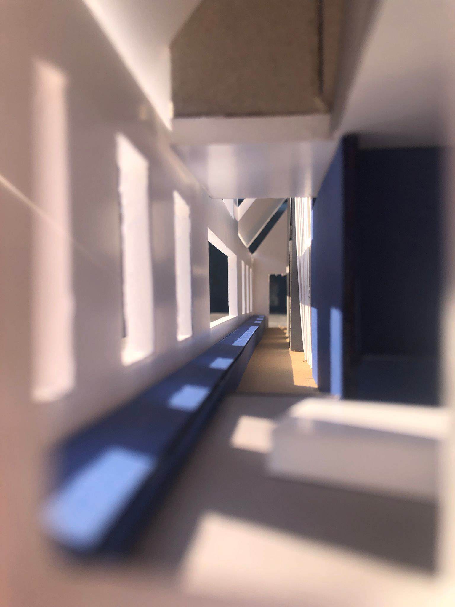 The long entrance hall with vides