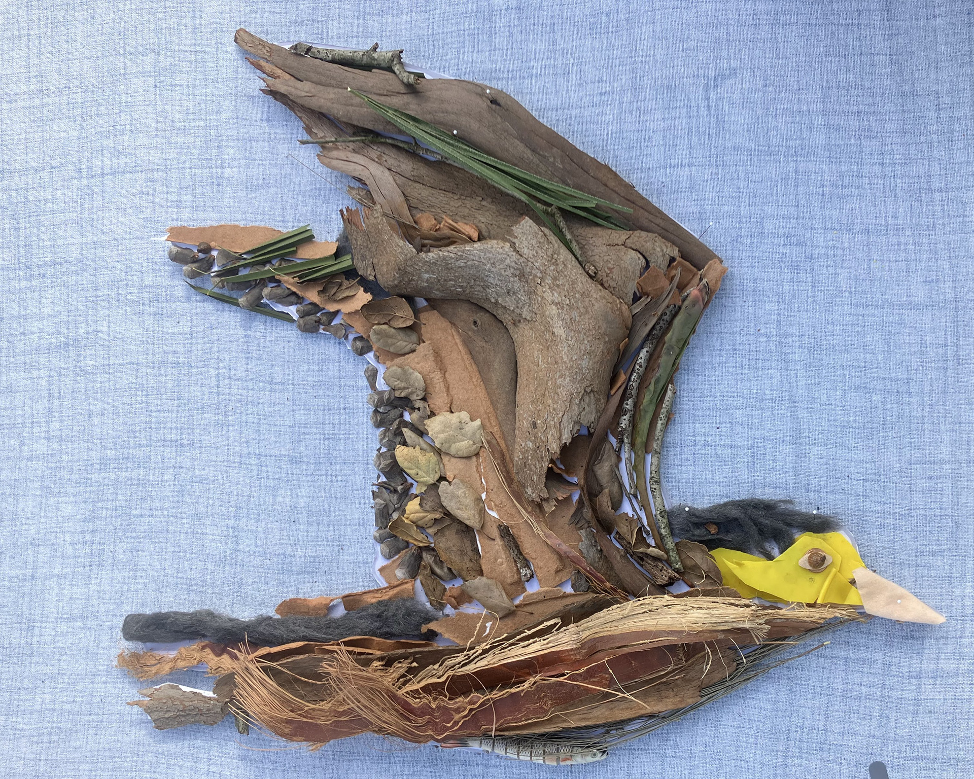 Snowy Plover by Tommy Martinez