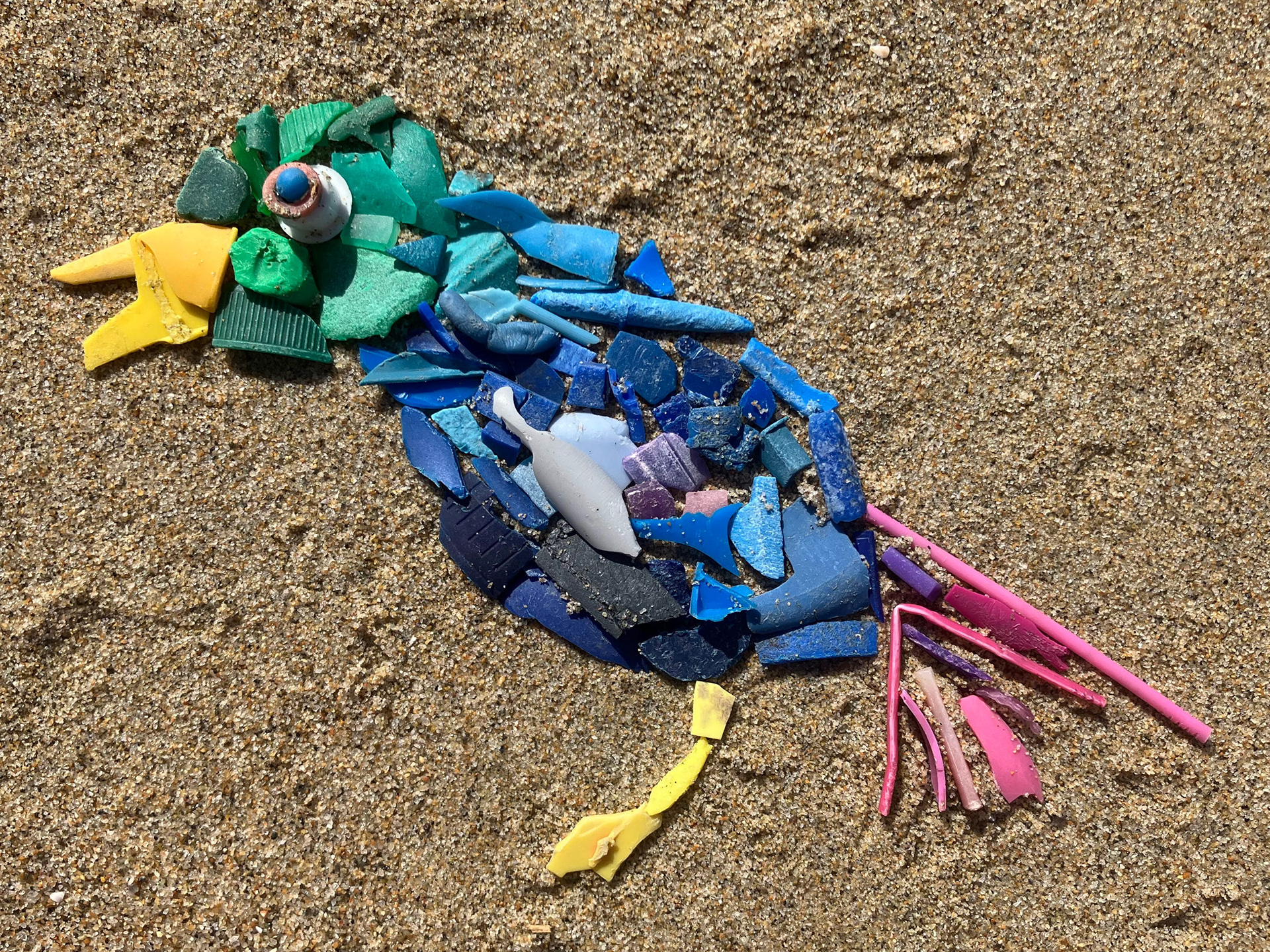 Micro-plastics on the beach.