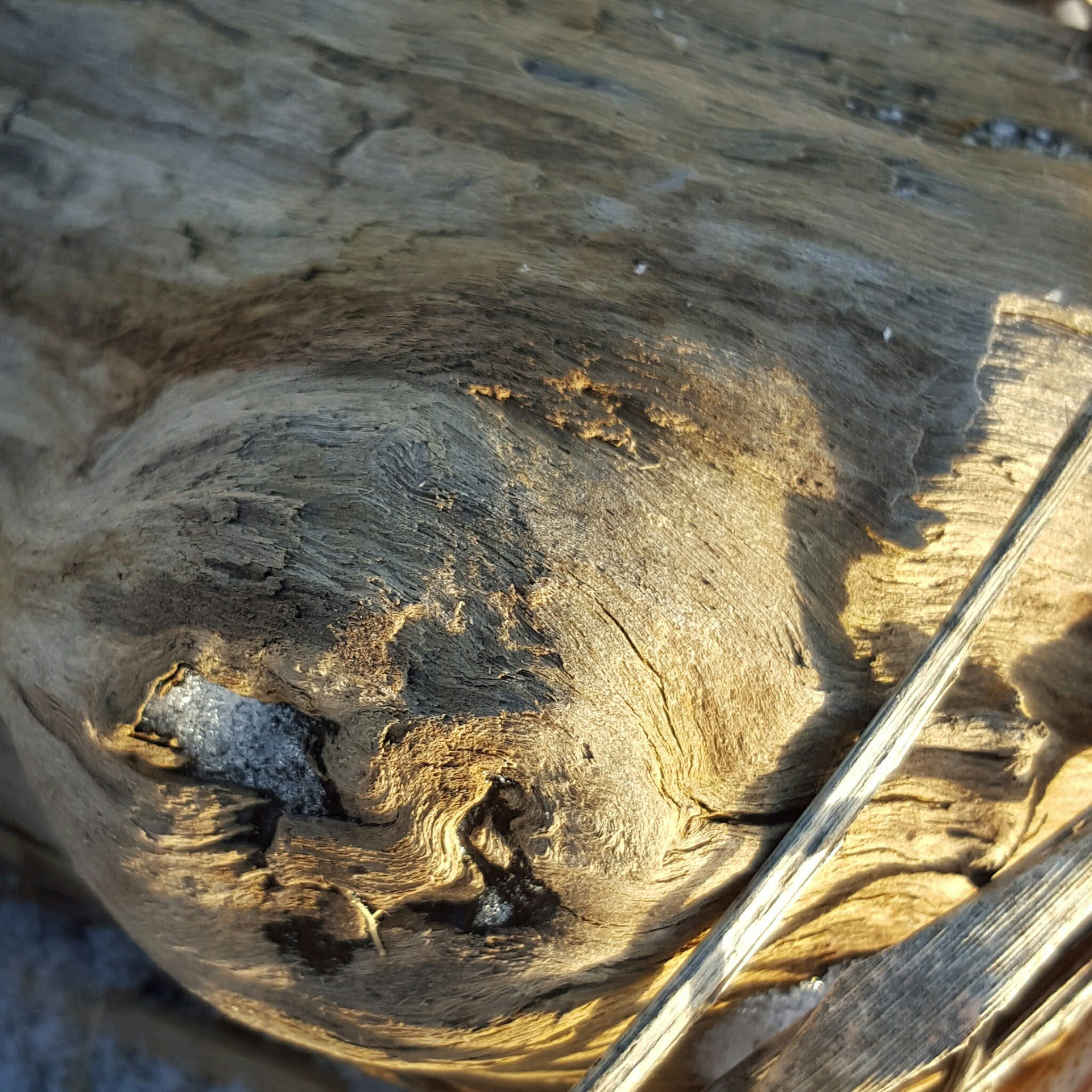 Wood