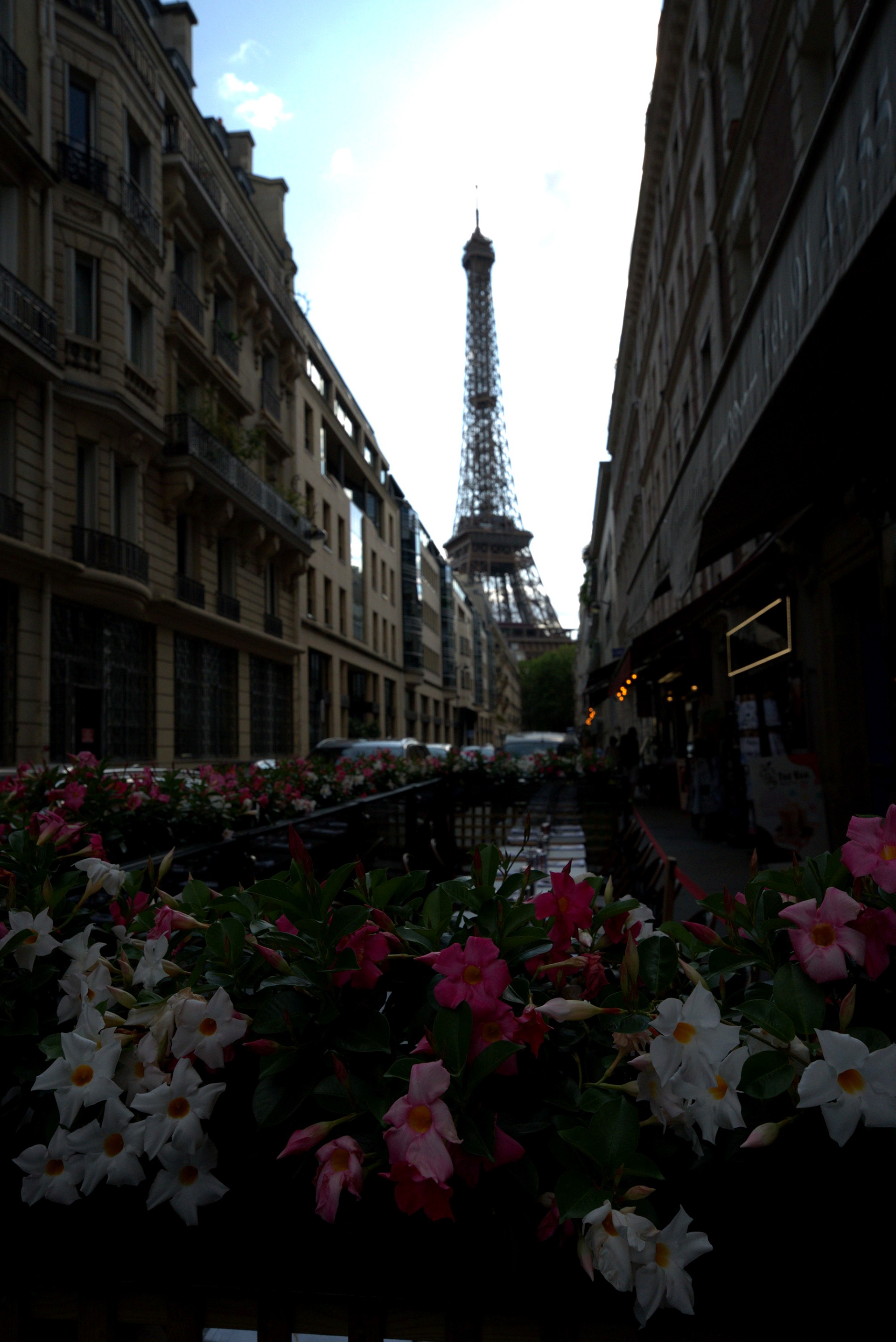Paris 05: The Eiffel Tower at the end of a Paris street lined with Haussmann buildings and flowers