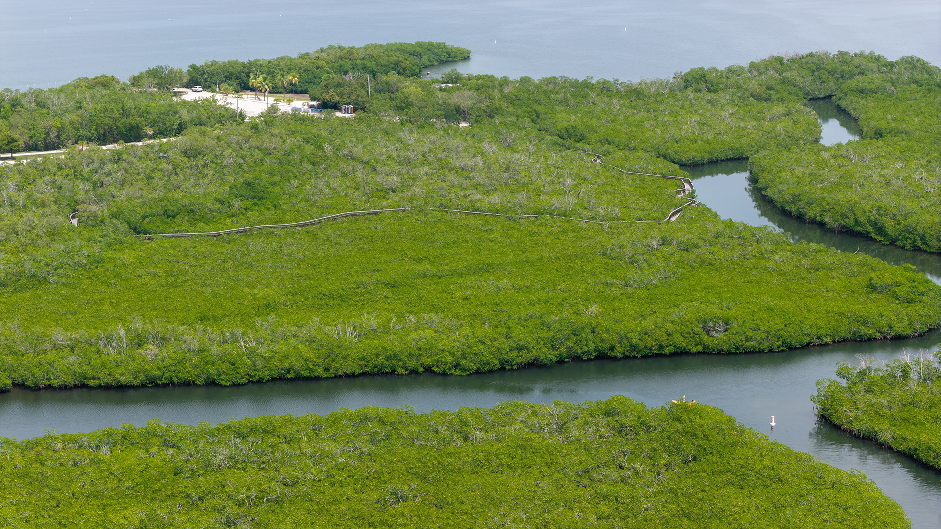 Aerial of mangrove channels in the Florida Keys