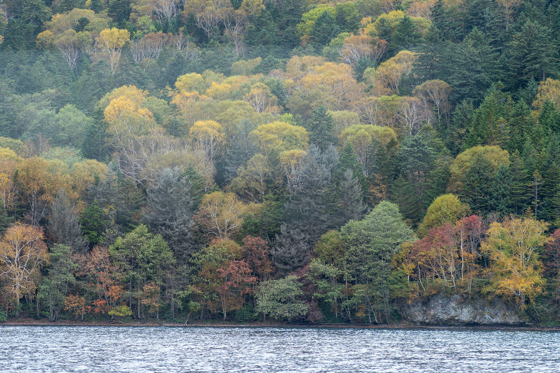 Autumn forest above a lake in Hokkaido, Japan