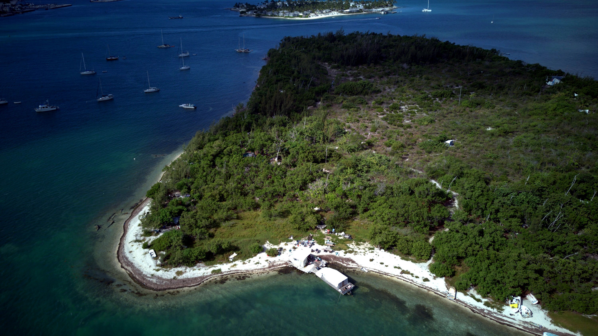Key West 03: Drone view of a white-sand shoreline and green mangroves near Key West