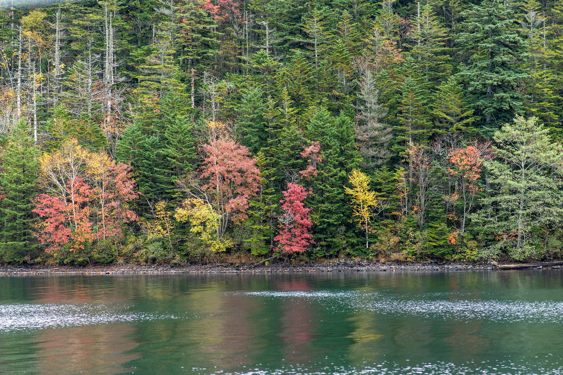 Autumn color around a forest lake, Hokkaido, Japan