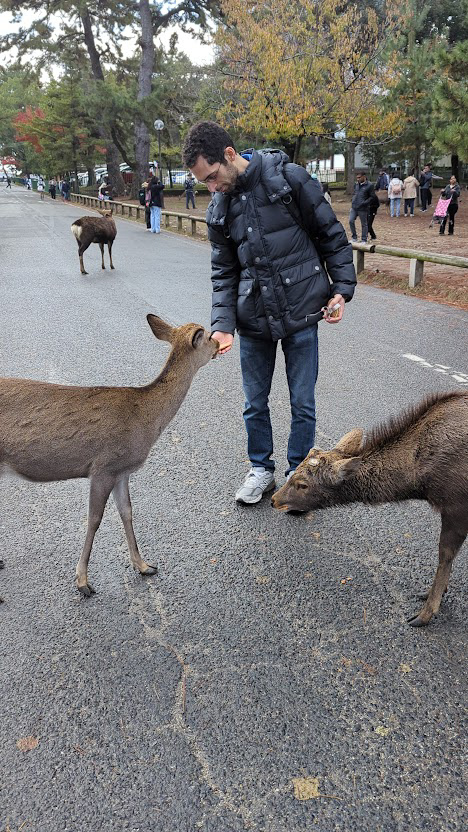 Nara
