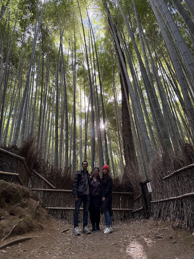 Arashiyama Bamboo Forest