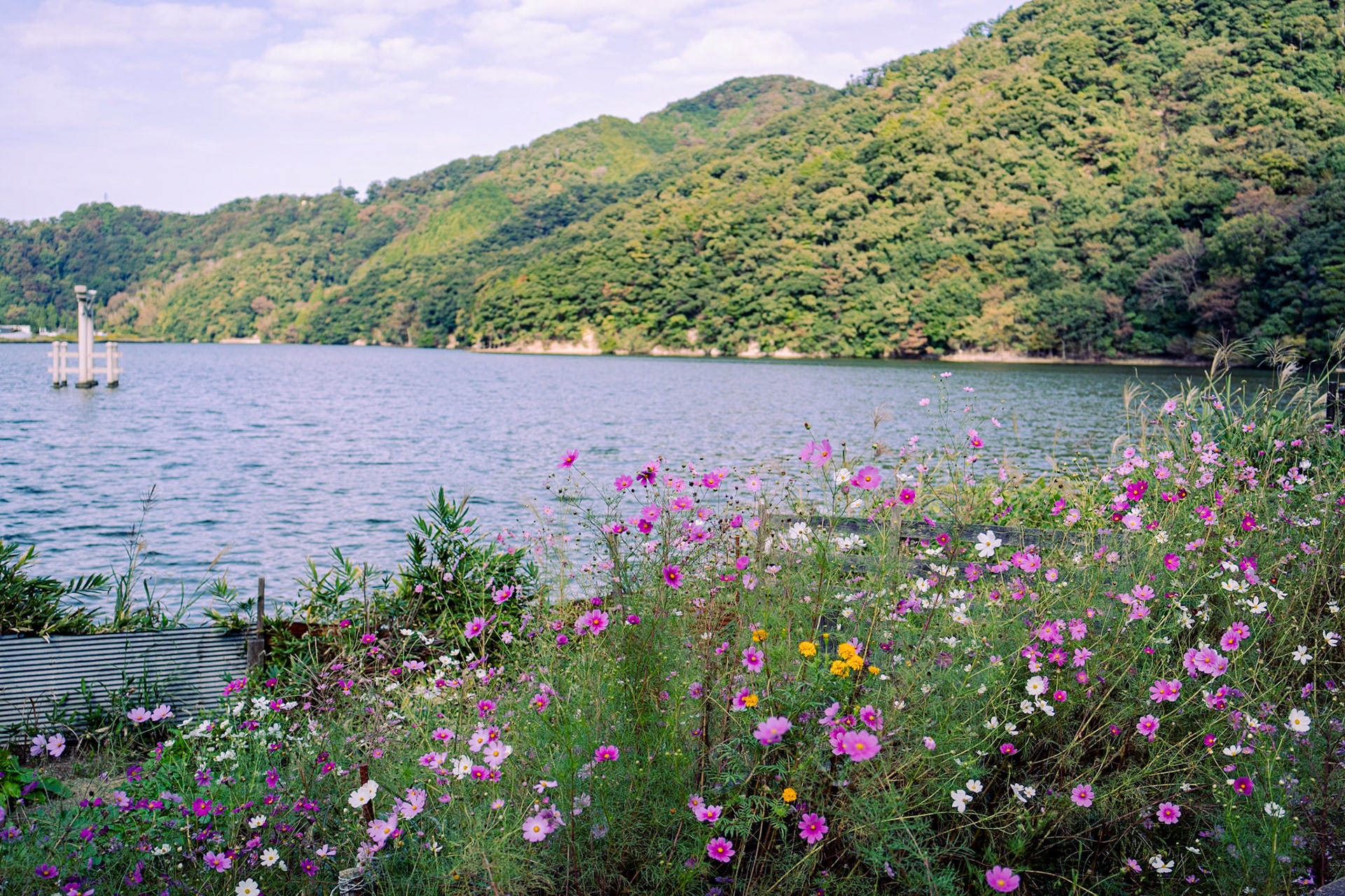 Views from my bikeride