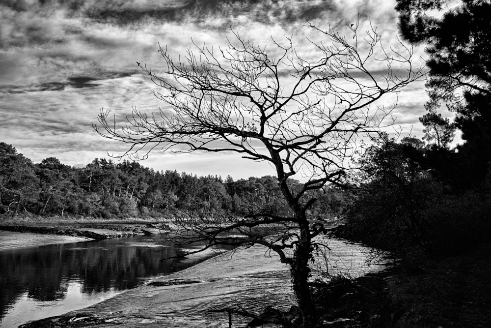Rivière de Pont-l'Abbé