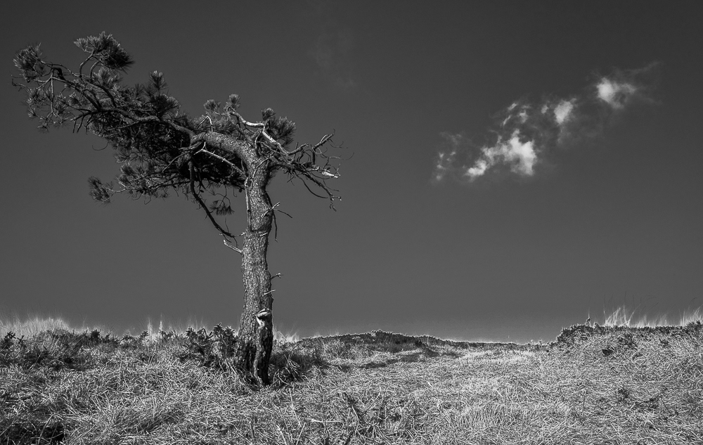 Presqu'île de Crozon