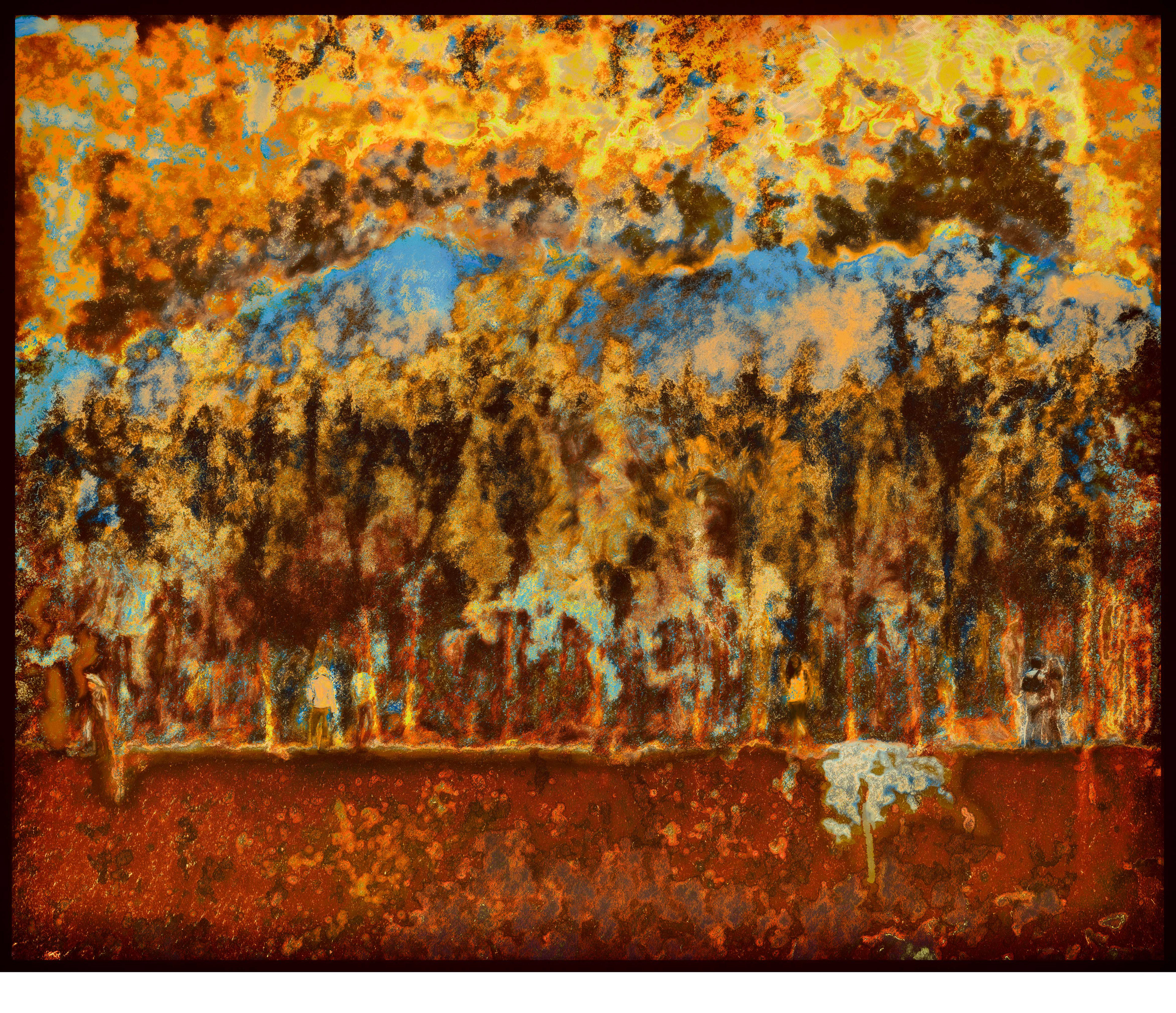 " Le Temps des Bois "   2018 