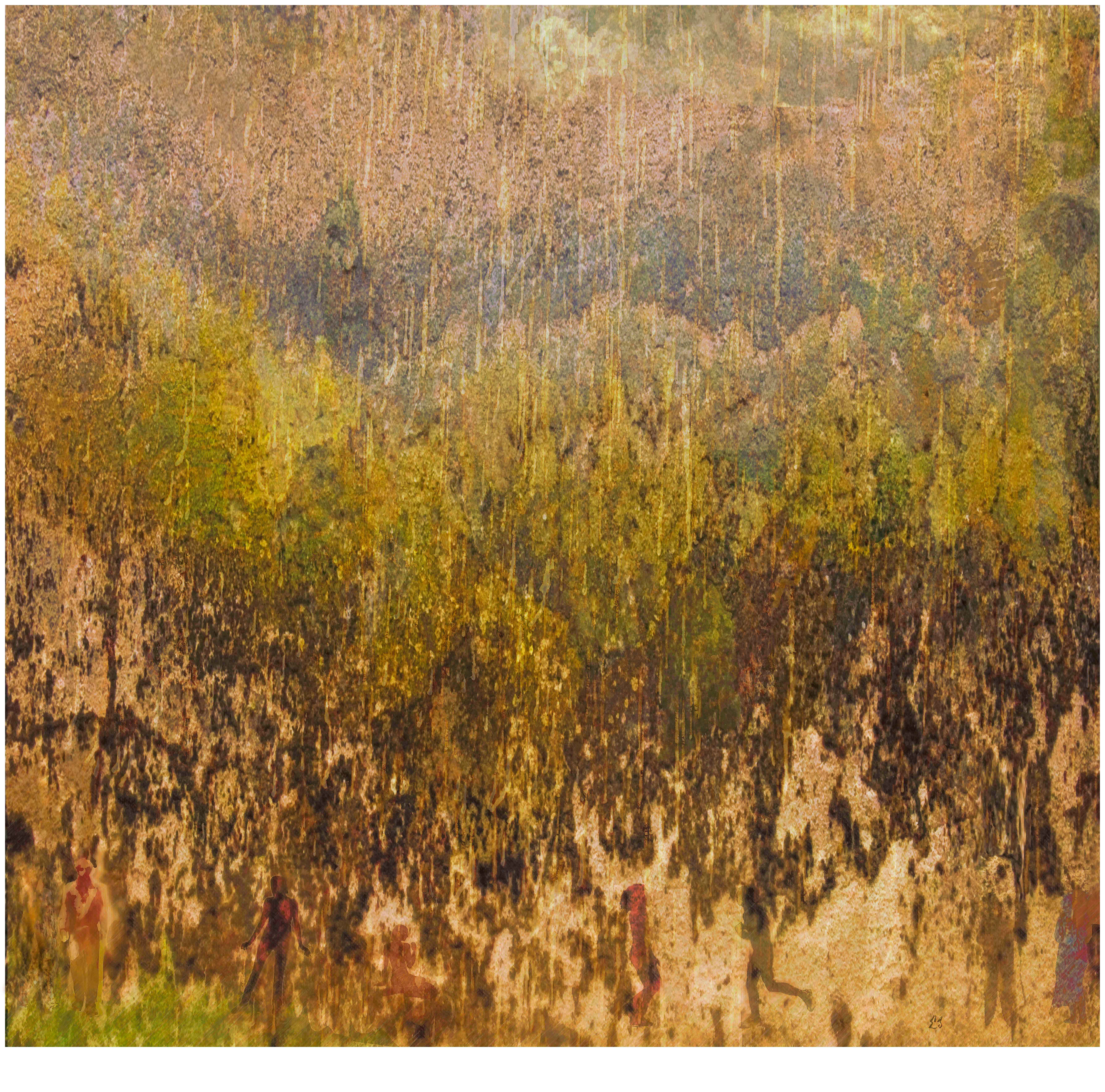 " Parc sous la Pluie "   2013
