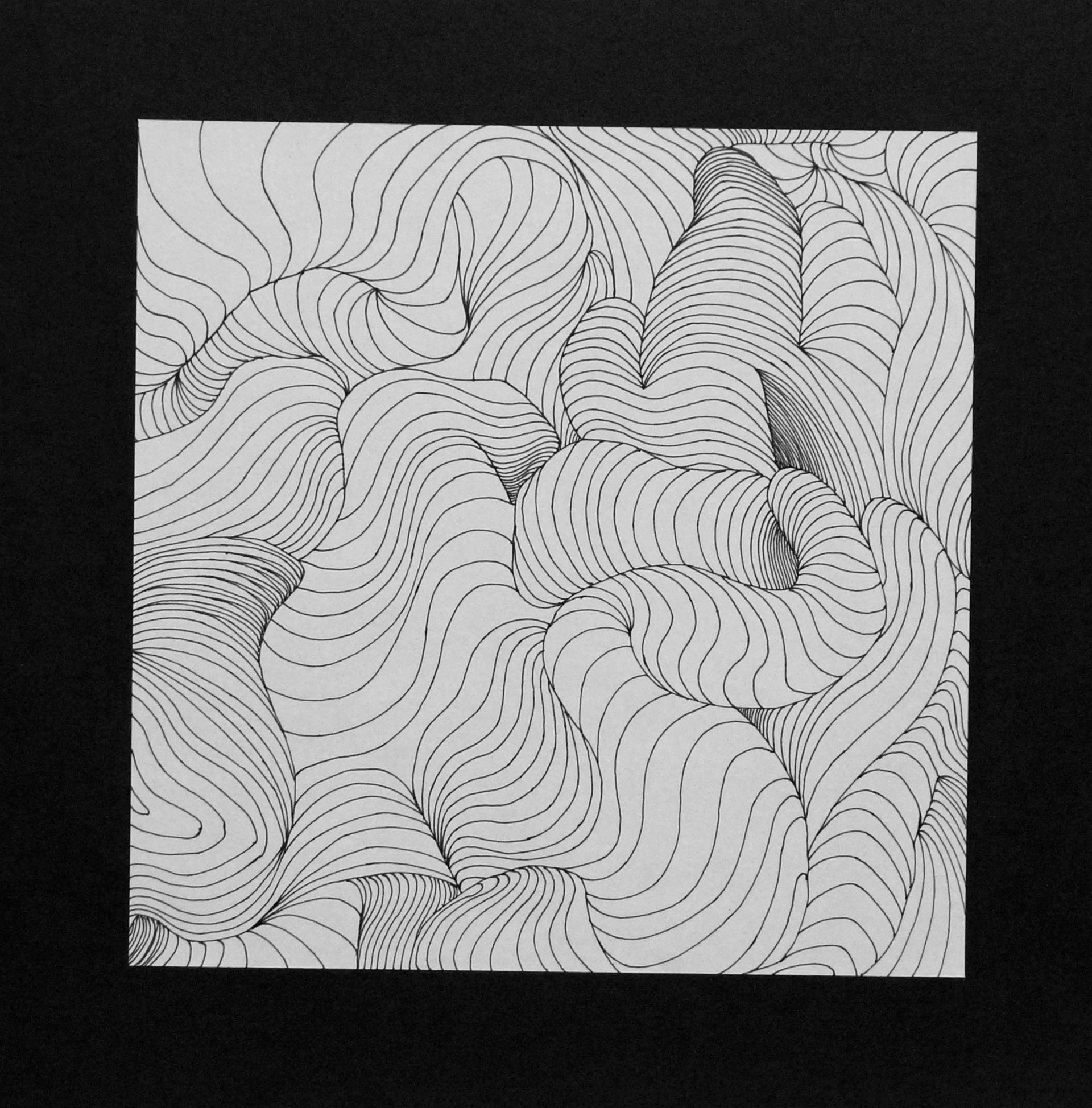 Undulating line study