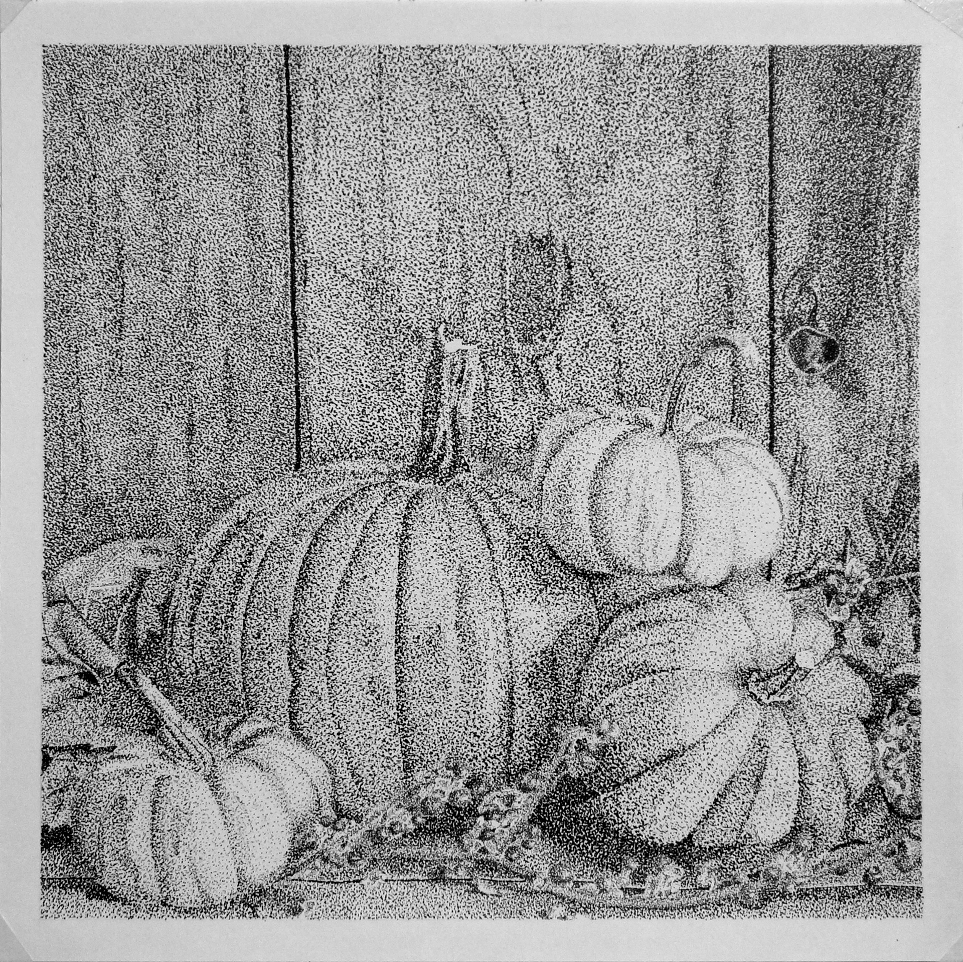 Pumpkin stippled still life
