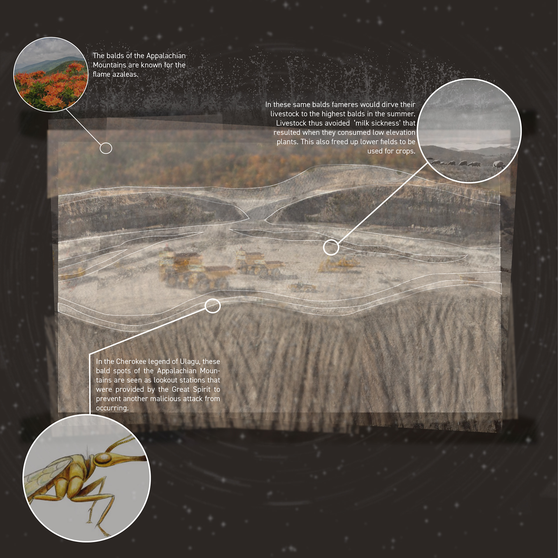 graphic by Christina Ceniceros + Camryn Weekly