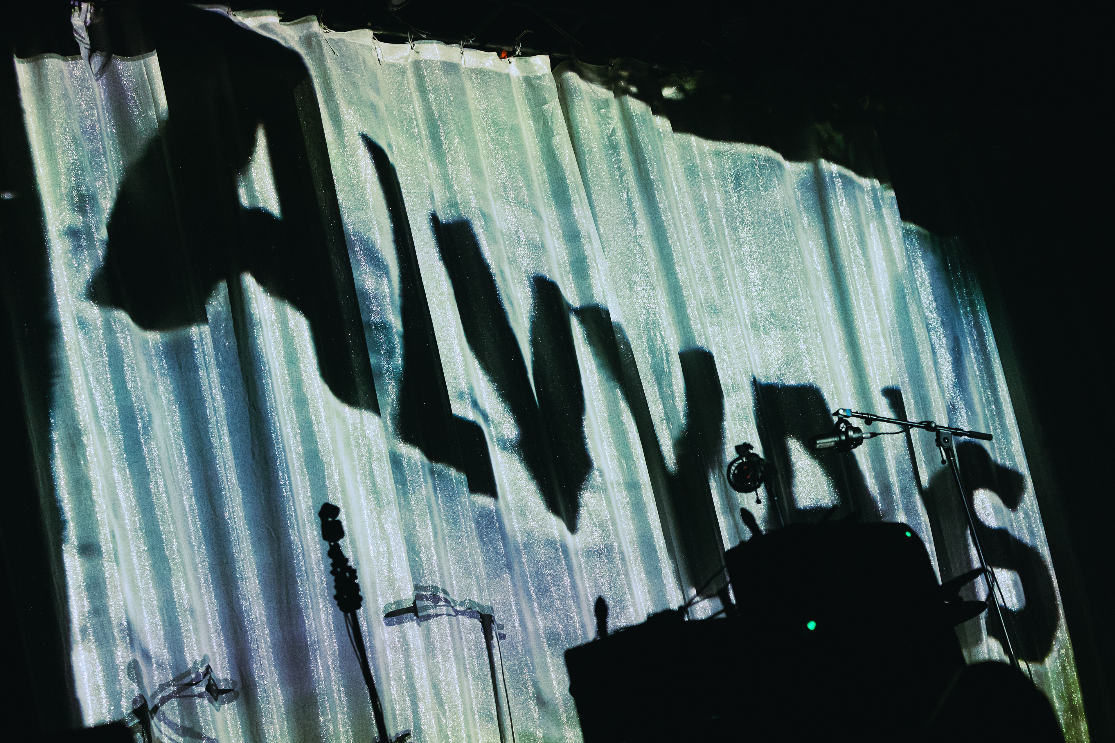 ALVVAYS