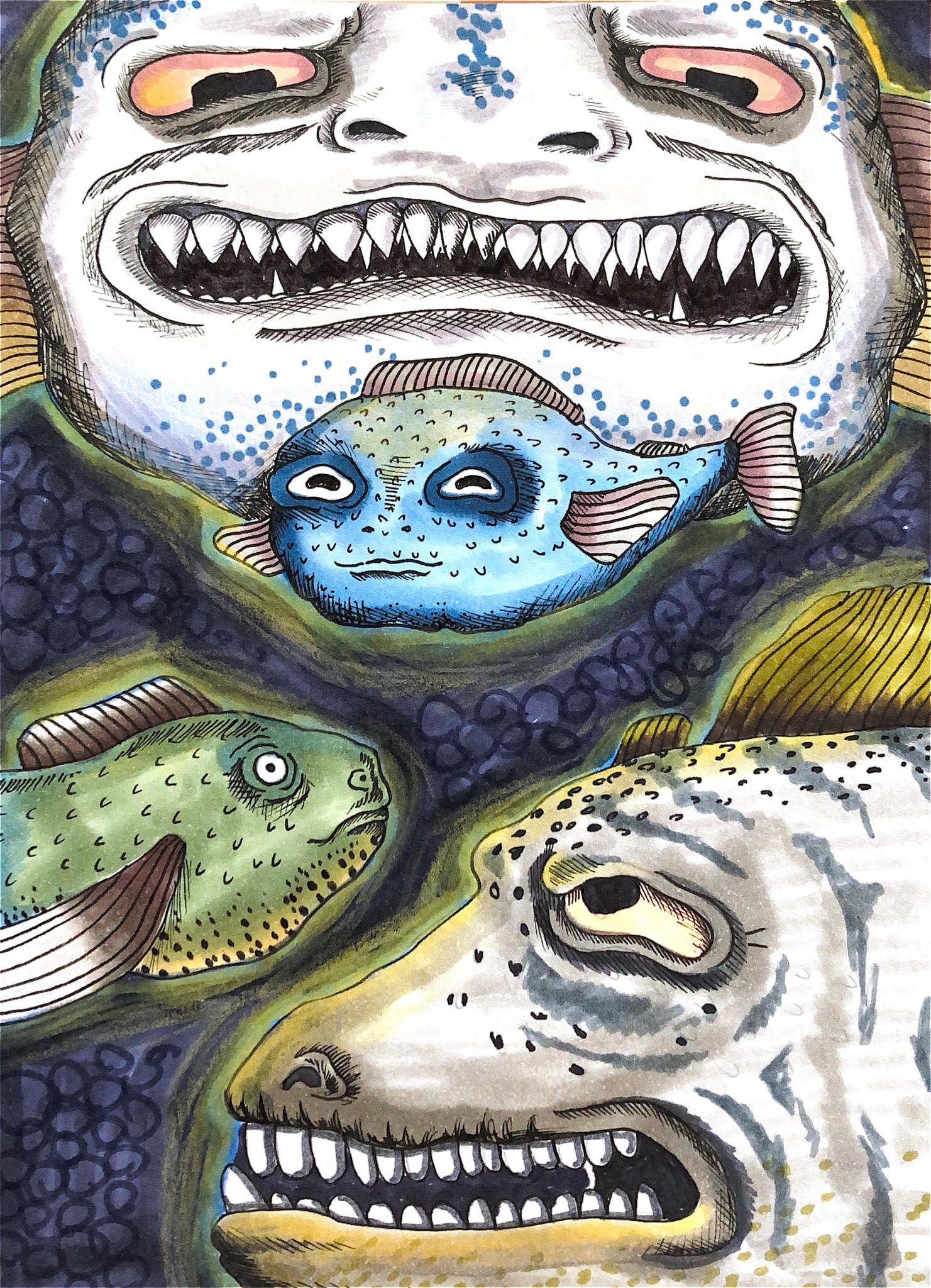 Fisk!