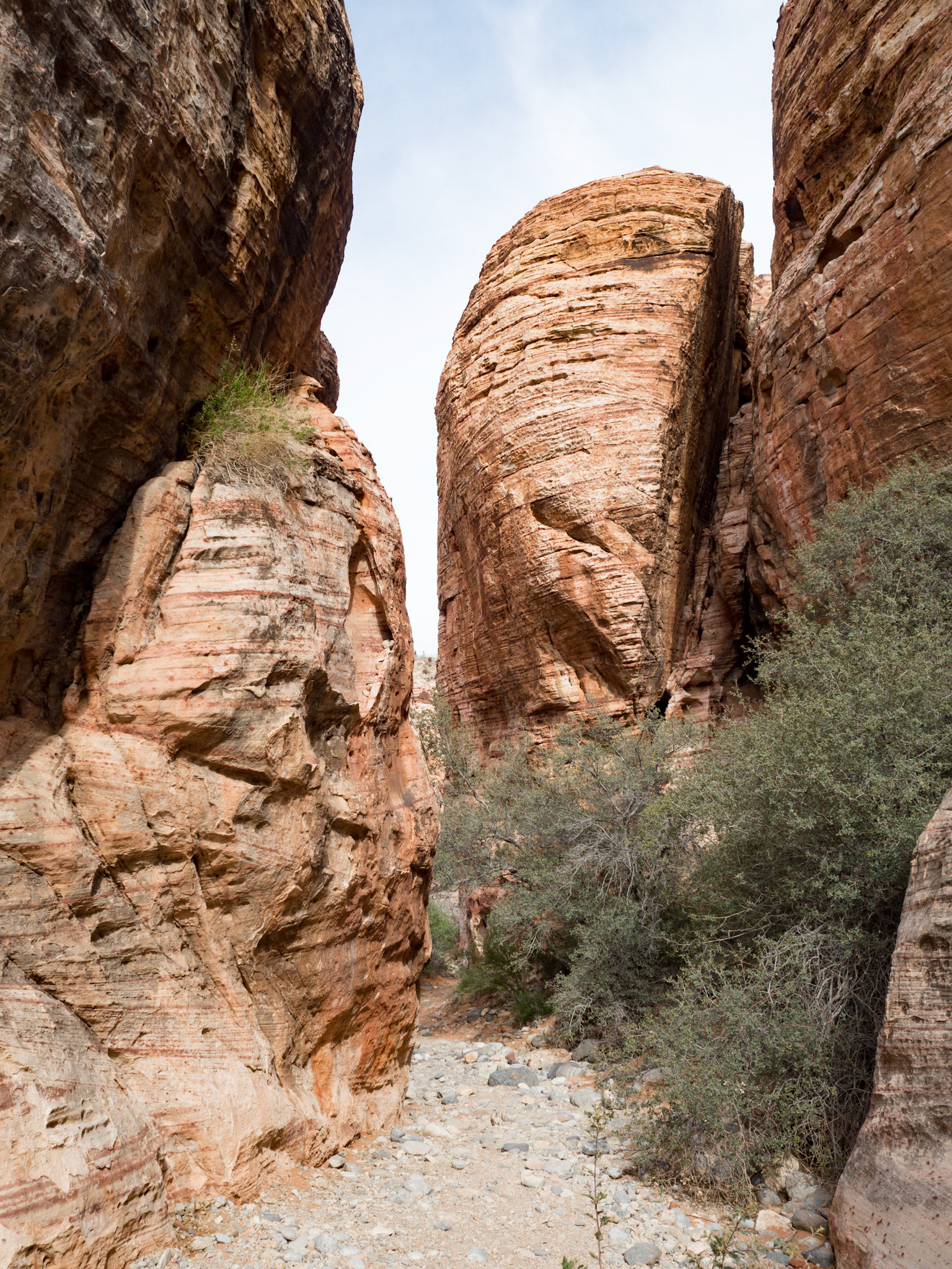 In October, 2015 I was in Las Vegas for AWS reInvent conference. One of the things I wish I had time for was visit the natural areas around Las Vegas. This time (March, 2016), however, we rented a car at Harrah’s and went hiking in the Red Rock Canyon National Conservation Area (https://en.wikipedia.org/wiki/Red_Rock_Canyon_National_Conservation_Area). There is no way to properly capture the beauty of the Red Rock, no way to pick a perfect lens or a perfect camera. You need to be there to fully appreciate it.

Note on the workflow: I am glad I took these photos using RAW+JPEG format. Normally I only shoot JPEG, but since I only recently got the Olympus PEN-F I wanted to be on the safe side and have RAW available to me. Somehow in the JPEGs the camera subdued the colors and blew out the highlights. Reds weren’t as red as I remember them, for instance, and the sky had more texture to it. Luckily, RAW had all that information and so I was able to easily post process the files in Lightroom.