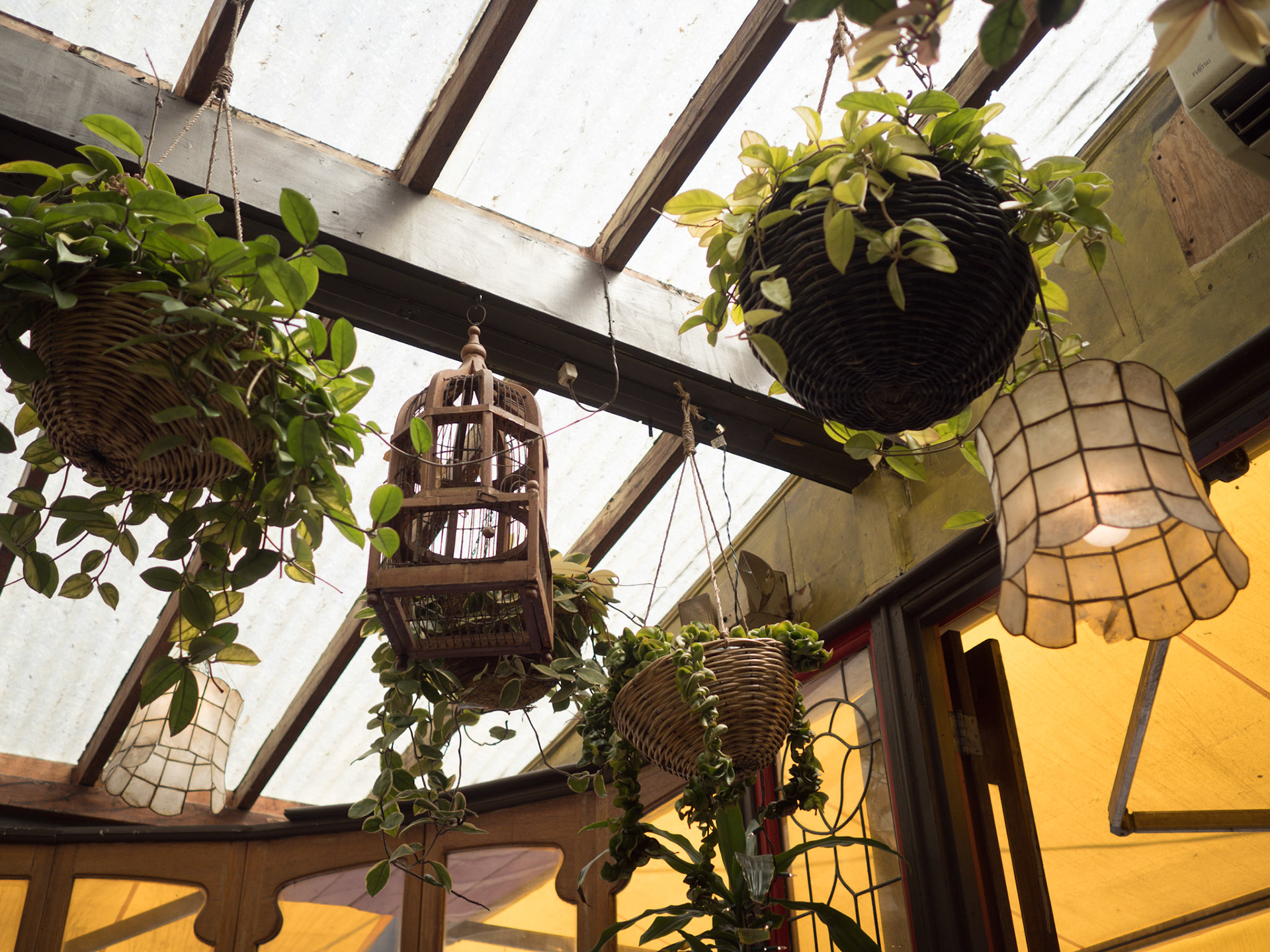 OLYMPUS DIGITAL CAMERA