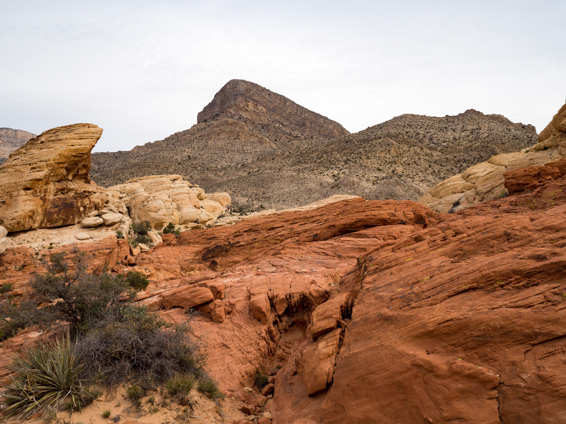 In October, 2015 I was in Las Vegas for AWS reInvent conference. One of the things I wish I had time for was visit the natural areas around Las Vegas. This time (March, 2016), however, we rented a car at Harrah’s and went hiking in the Red Rock Canyon National Conservation Area (https://en.wikipedia.org/wiki/Red_Rock_Canyon_National_Conservation_Area). There is no way to properly capture the beauty of the Red Rock, no way to pick a perfect lens or a perfect camera. You need to be there to fully appreciate it.

Note on the workflow: I am glad I took these photos using RAW+JPEG format. Normally I only shoot JPEG, but since I only recently got the Olympus PEN-F I wanted to be on the safe side and have RAW available to me. Somehow in the JPEGs the camera subdued the colors and blew out the highlights. Reds weren’t as red as I remember them, for instance, and the sky had more texture to it. Luckily, RAW had all that information and so I was able to easily post process the files in Lightroom.