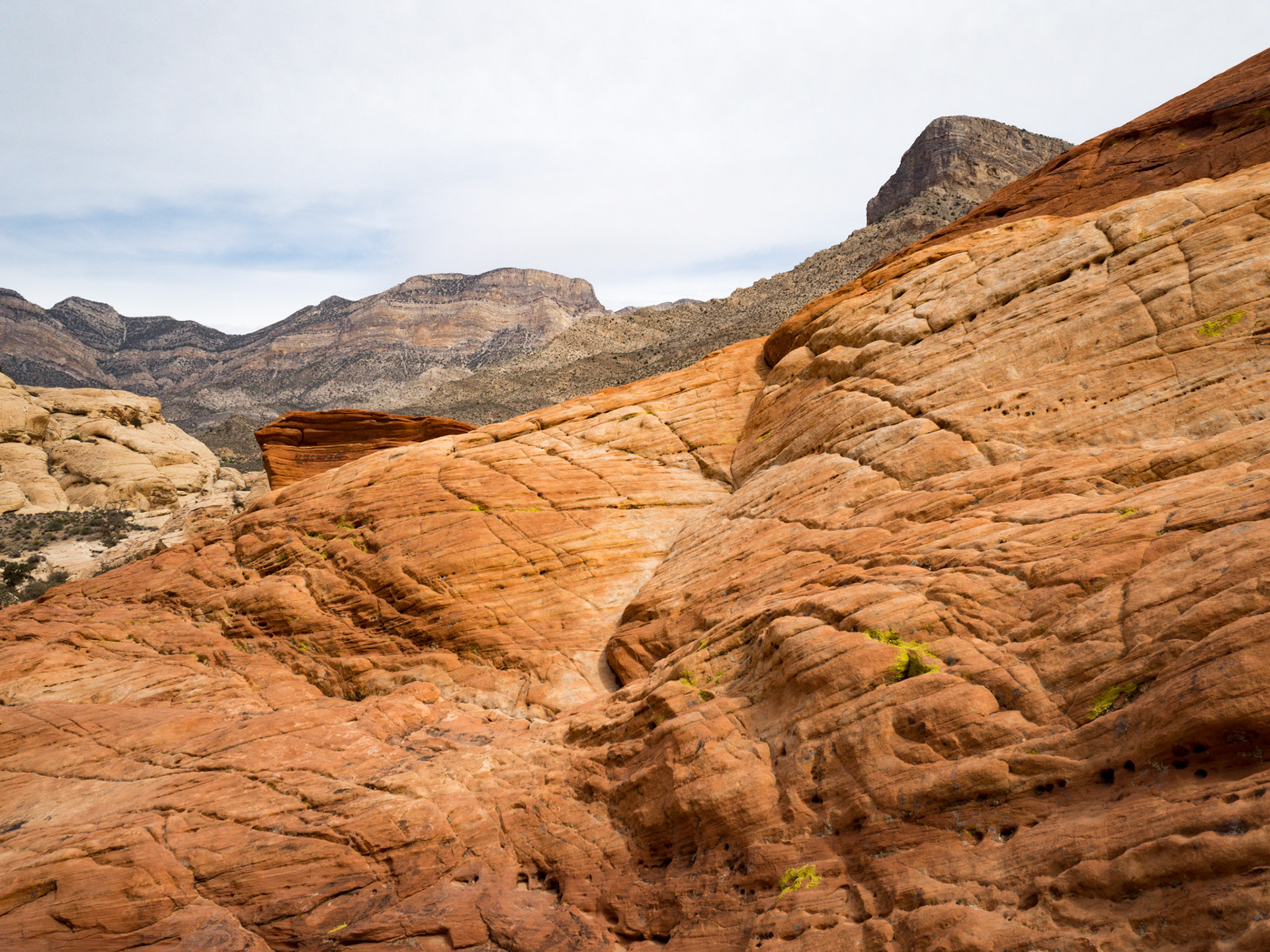 Red Rock Canyon, Las Vegas, Nevada
