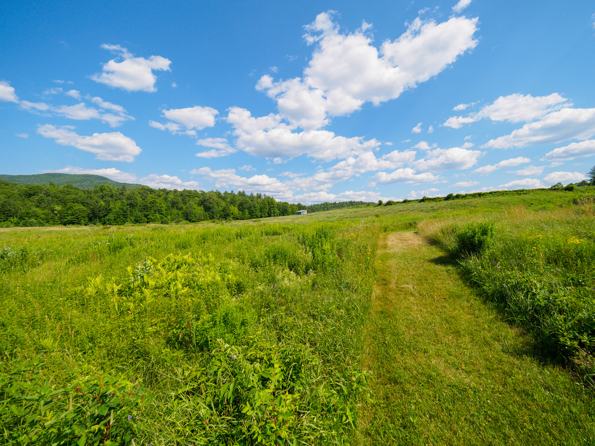 Views from Bark Eater Inn