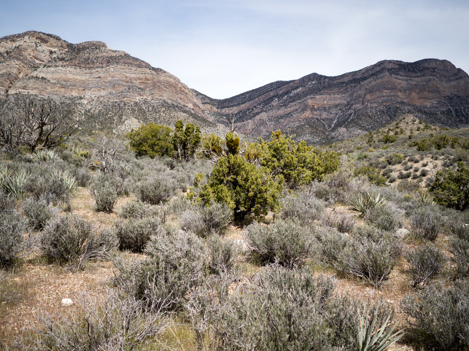 Red Rock Canyon, Las Vegas, Nevada