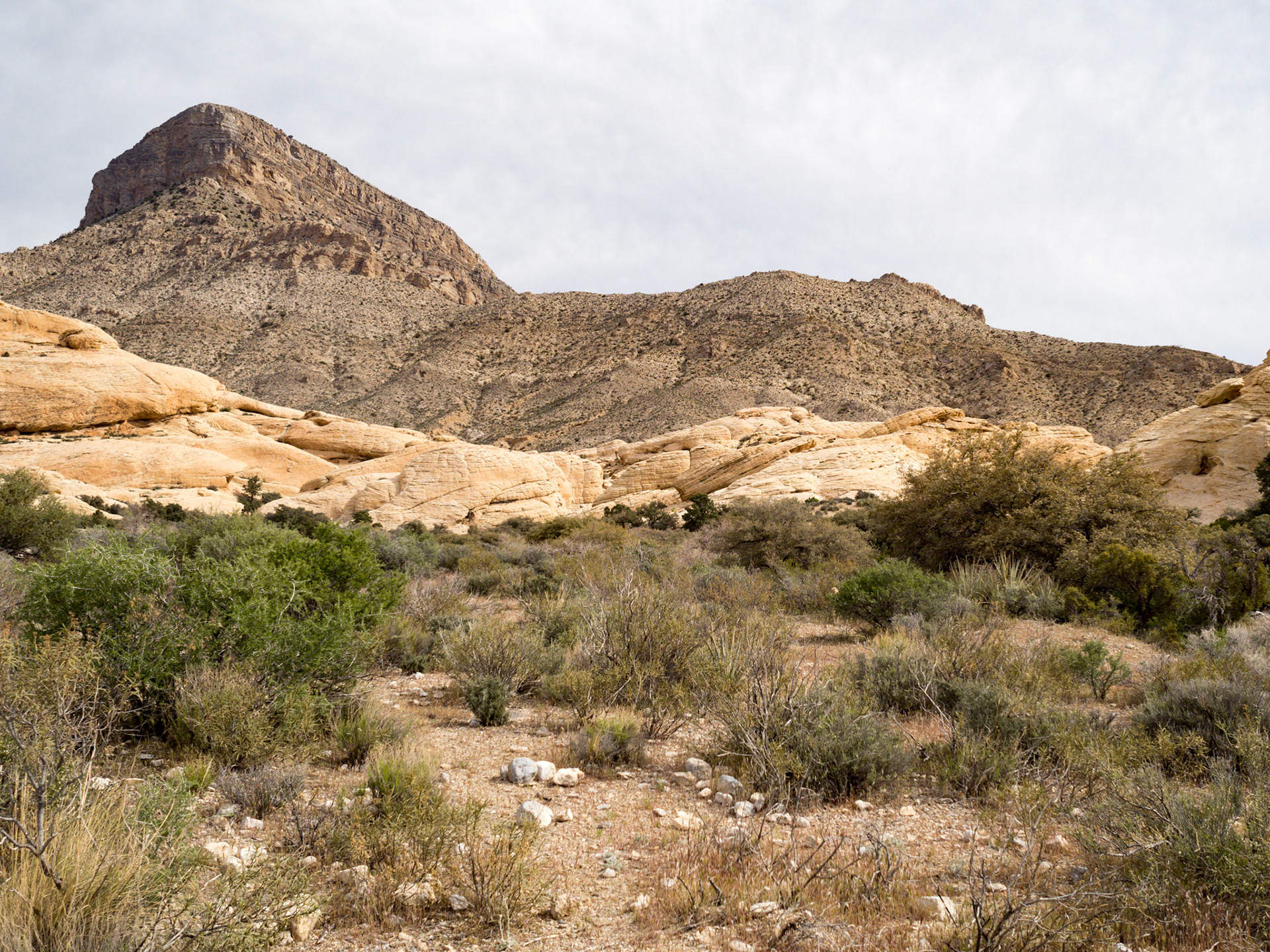 In October, 2015 I was in Las Vegas for AWS reInvent conference. One of the things I wish I had time for was visit the natural areas around Las Vegas. This time (March, 2016), however, we rented a car at Harrah’s and went hiking in the Red Rock Canyon National Conservation Area (https://en.wikipedia.org/wiki/Red_Rock_Canyon_National_Conservation_Area). There is no way to properly capture the beauty of the Red Rock, no way to pick a perfect lens or a perfect camera. You need to be there to fully appreciate it.

Note on the workflow: I am glad I took these photos using RAW+JPEG format. Normally I only shoot JPEG, but since I only recently got the Olympus PEN-F I wanted to be on the safe side and have RAW available to me. Somehow in the JPEGs the camera subdued the colors and blew out the highlights. Reds weren’t as red as I remember them, for instance, and the sky had more texture to it. Luckily, RAW had all that information and so I was able to easily post process the files in Lightroom.