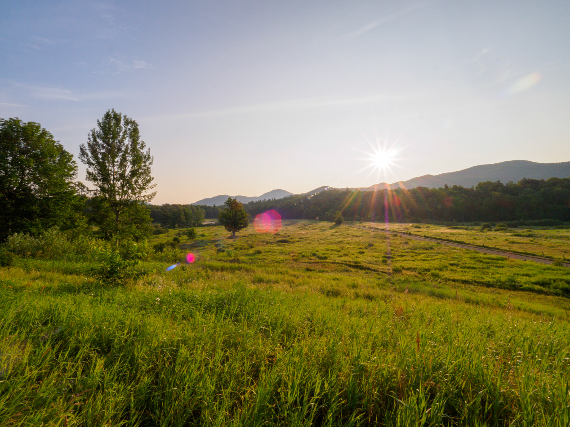 Views from Bark Eater Inn