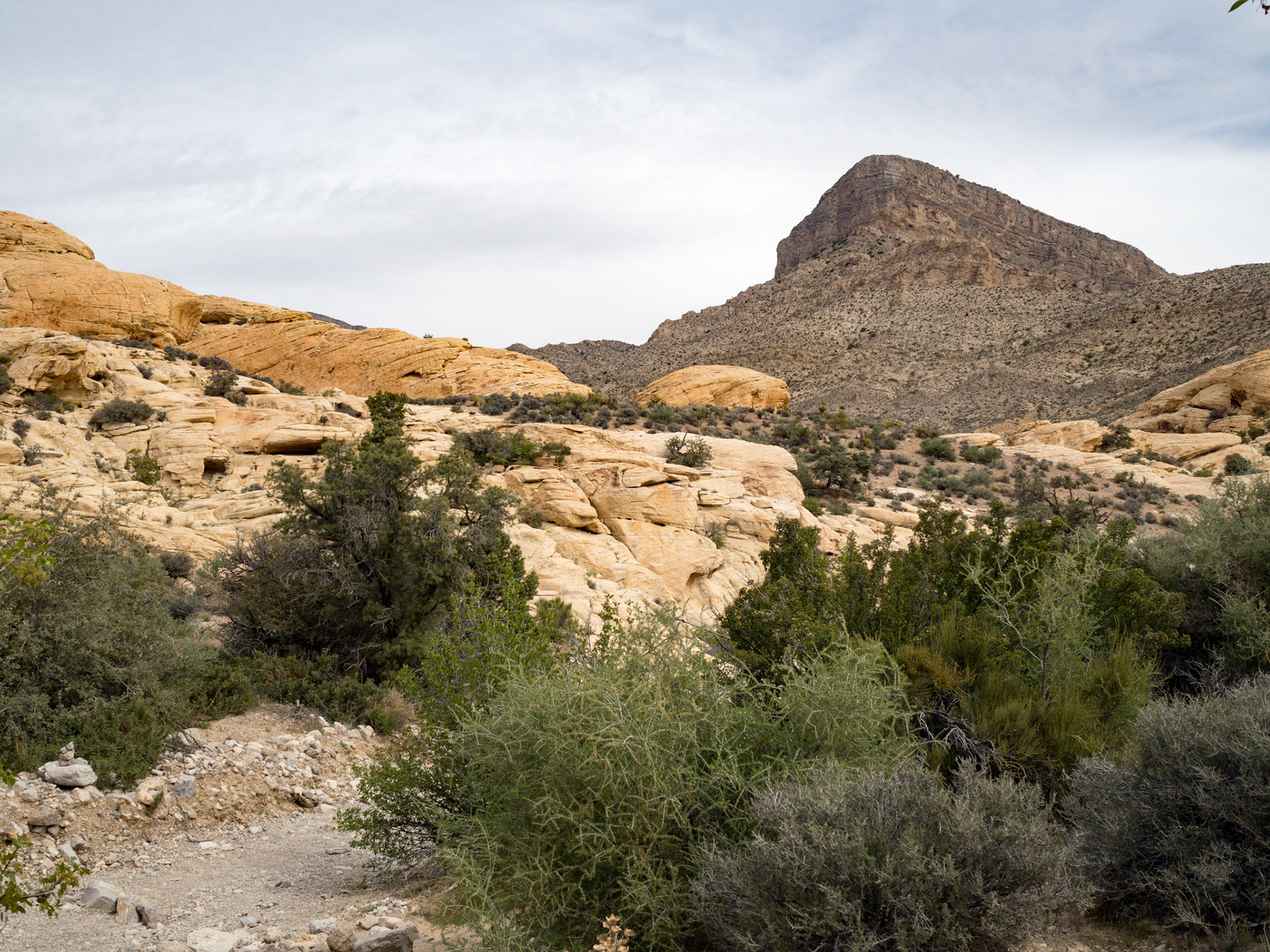 In October, 2015 I was in Las Vegas for AWS reInvent conference. One of the things I wish I had time for was visit the natural areas around Las Vegas. This time (March, 2016), however, we rented a car at Harrah’s and went hiking in the Red Rock Canyon National Conservation Area (https://en.wikipedia.org/wiki/Red_Rock_Canyon_National_Conservation_Area). There is no way to properly capture the beauty of the Red Rock, no way to pick a perfect lens or a perfect camera. You need to be there to fully appreciate it.

Note on the workflow: I am glad I took these photos using RAW+JPEG format. Normally I only shoot JPEG, but since I only recently got the Olympus PEN-F I wanted to be on the safe side and have RAW available to me. Somehow in the JPEGs the camera subdued the colors and blew out the highlights. Reds weren’t as red as I remember them, for instance, and the sky had more texture to it. Luckily, RAW had all that information and so I was able to easily post process the files in Lightroom.